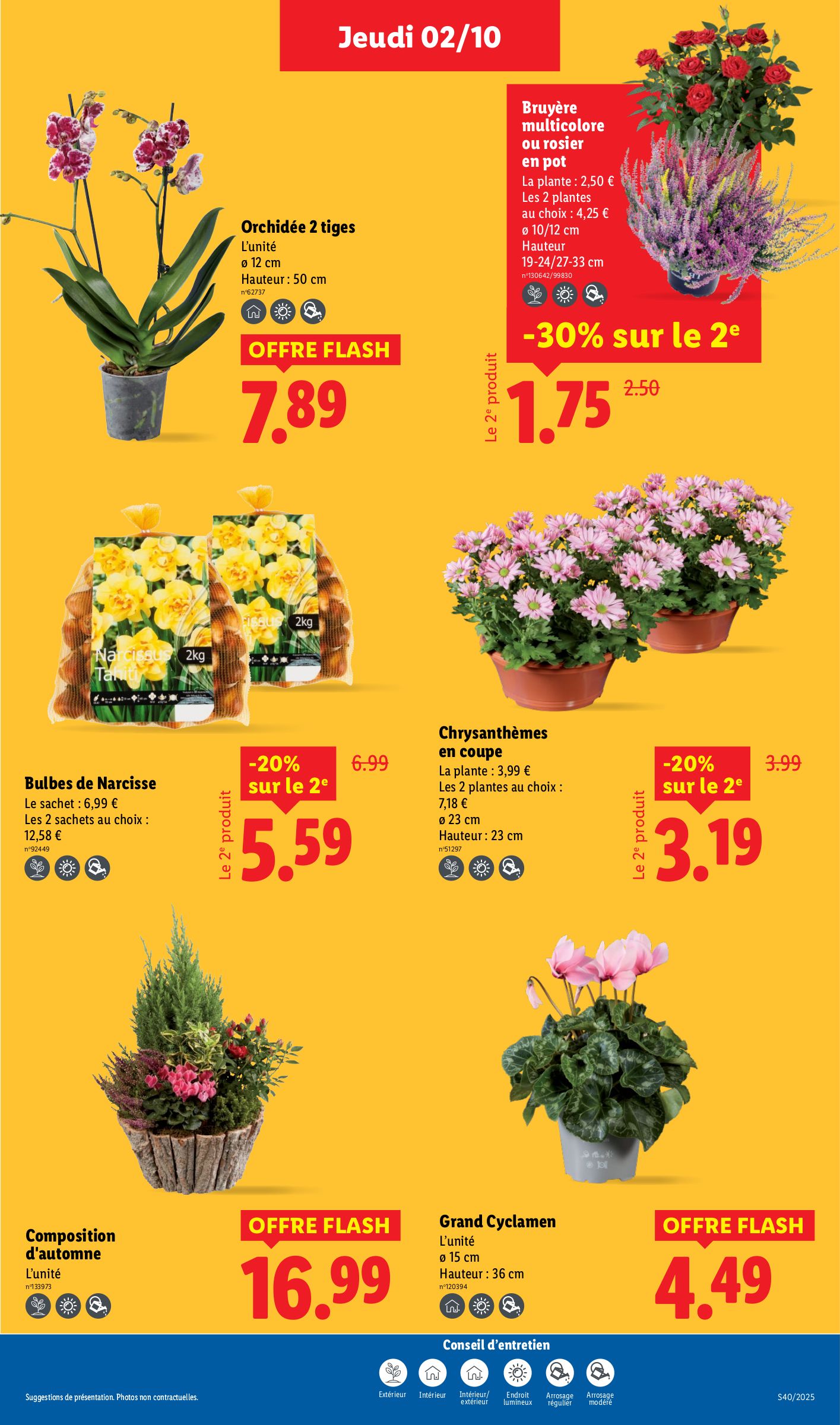 lidl - Catalogue Lidl valable du 02/10 au 08/10 - page: 29