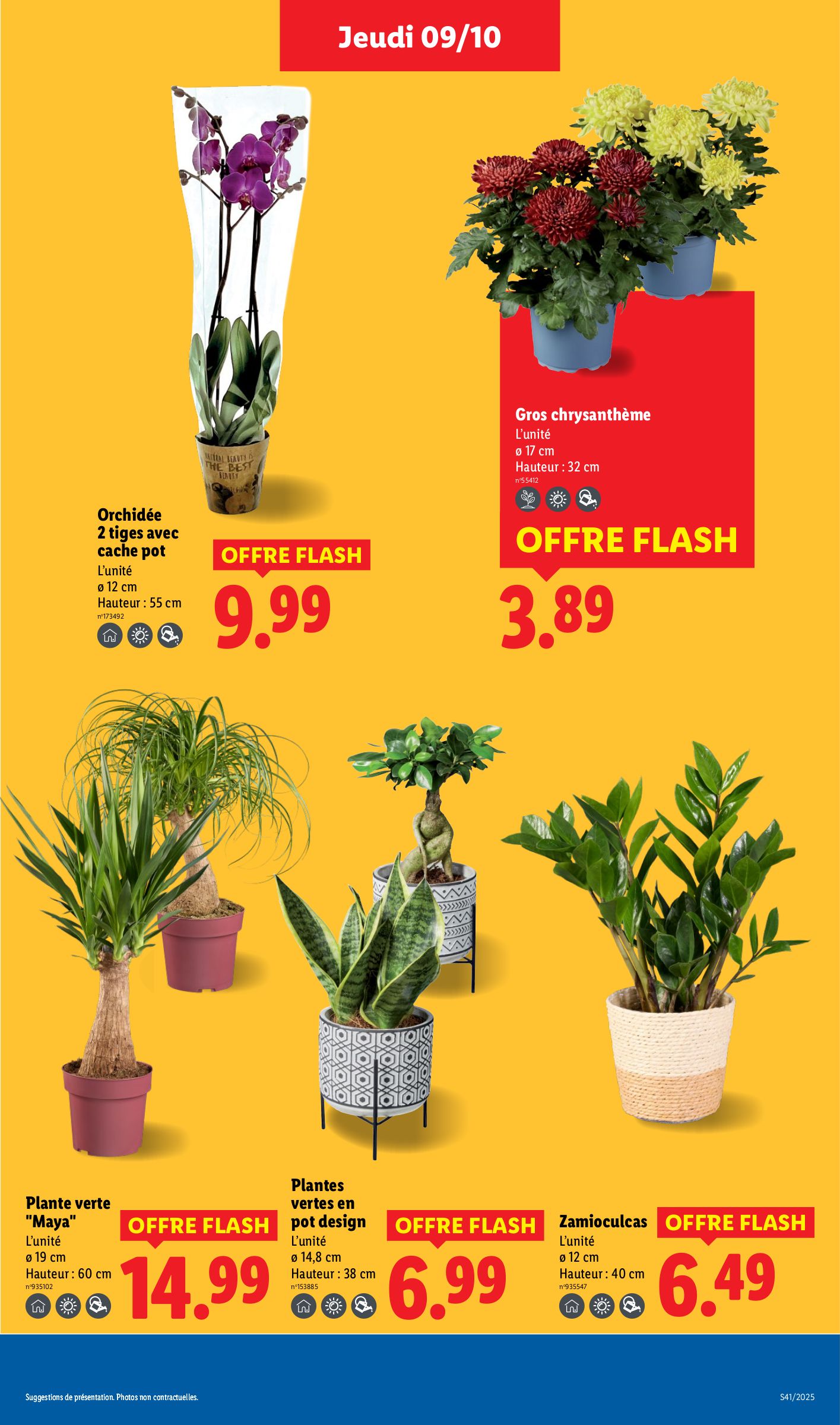lidl - Catalogue Lidl valable du 09/10 au 15/10 - page: 29