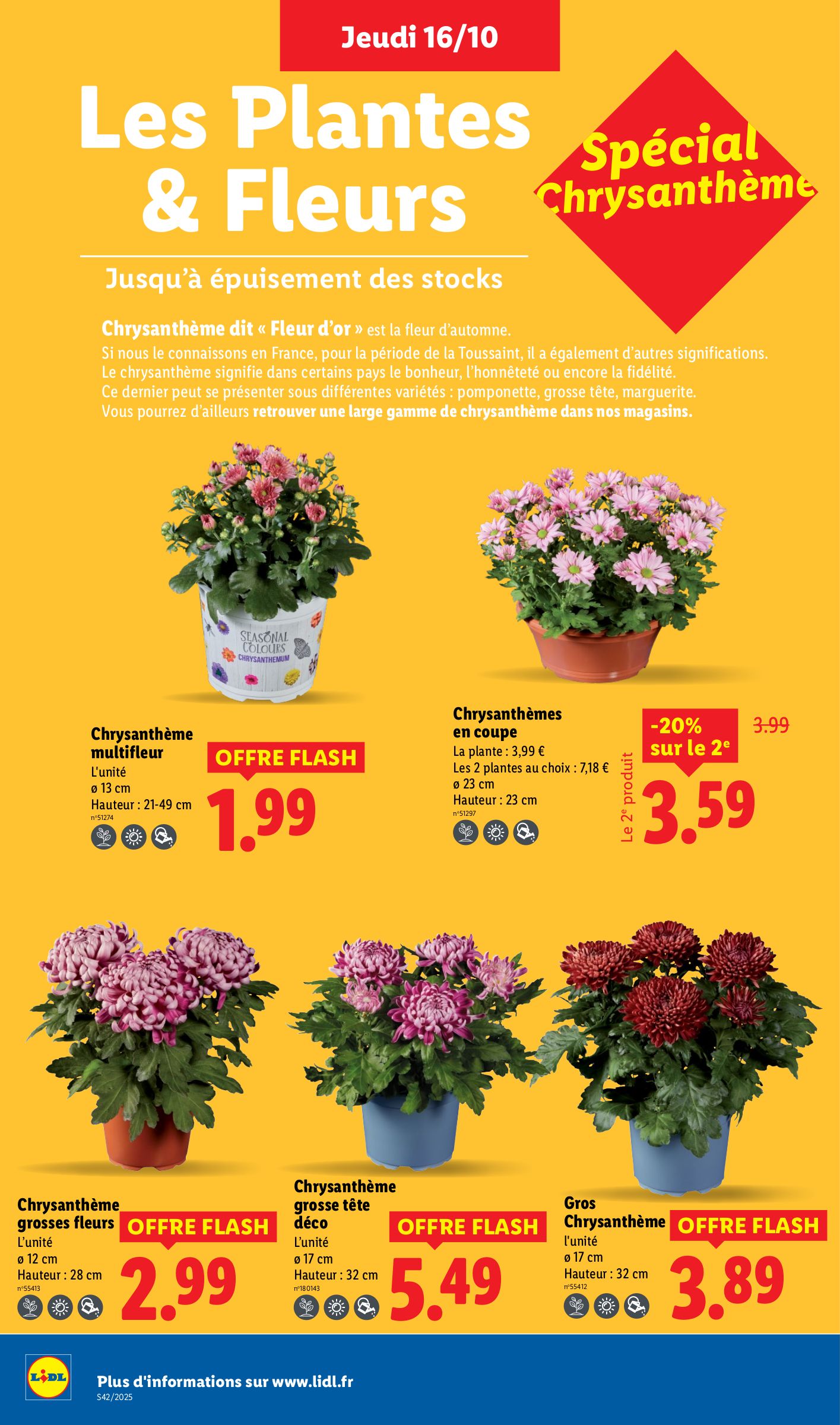 lidl - Catalogue Lidl - Les promos de la semaine valable du 16/10 au 22/10 - page: 36 lidl - Catalogue Lidl - Les promos de la semaine valable du 16/10 au 22/10 - page: 36