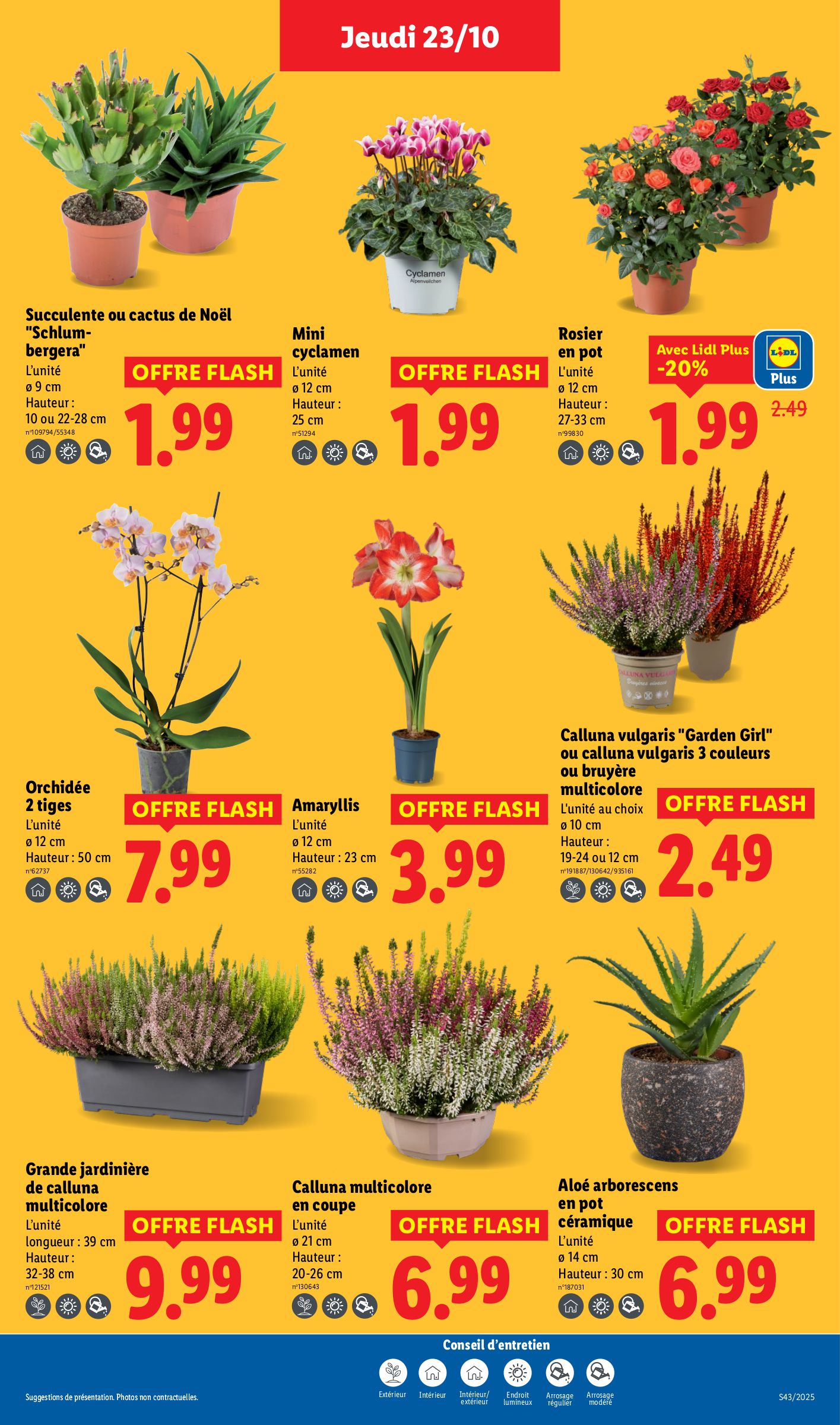 lidl - Catalogue Lidl valable du 23/10 au 29/10 - page: 27 lidl - Catalogue Lidl valable du 23/10 au 29/10 - page: 27
