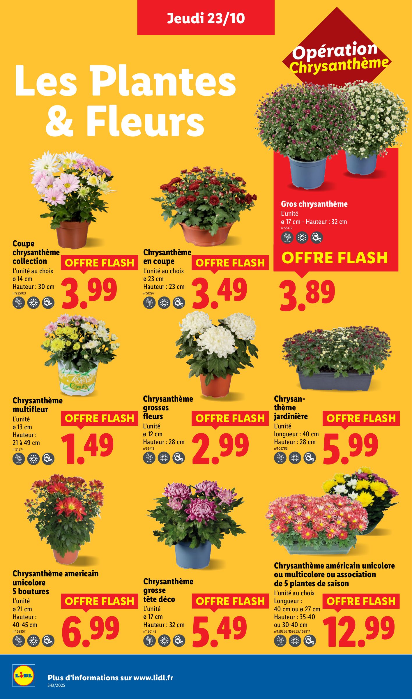 lidl - Catalogue Lidl valable du 23/10 au 29/10 - page: 26 lidl - Catalogue Lidl valable du 23/10 au 29/10 - page: 26