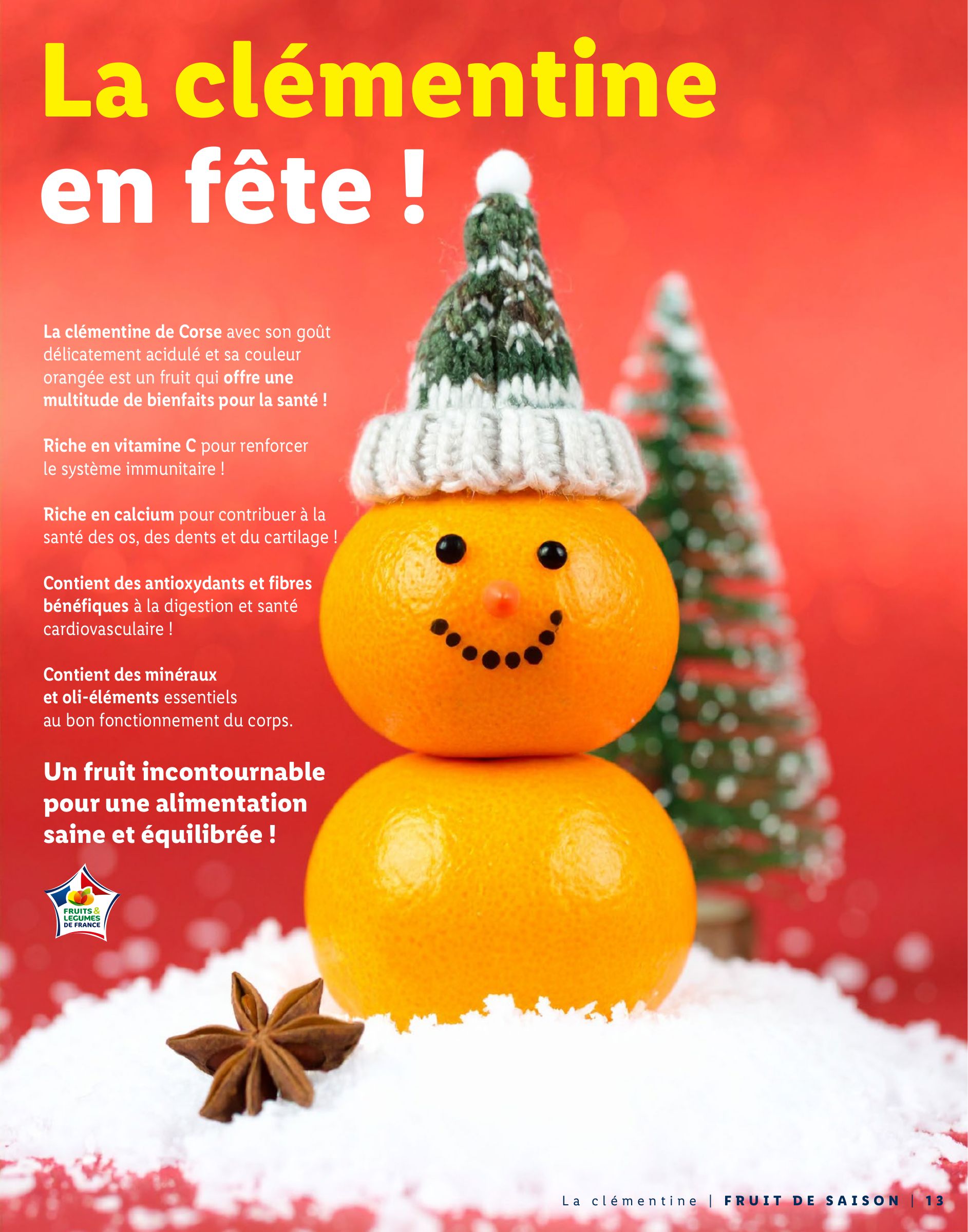 lidl - Catalogue Lidl - Pour des fêtes étincelantes valable du 13/11 au 04/01 - page: 13
