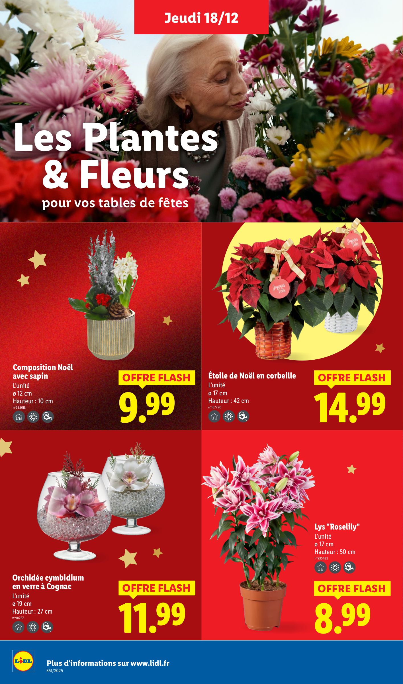 lidl - Catalogue Lidl valable du 18/12 au 26/12 - page: 36