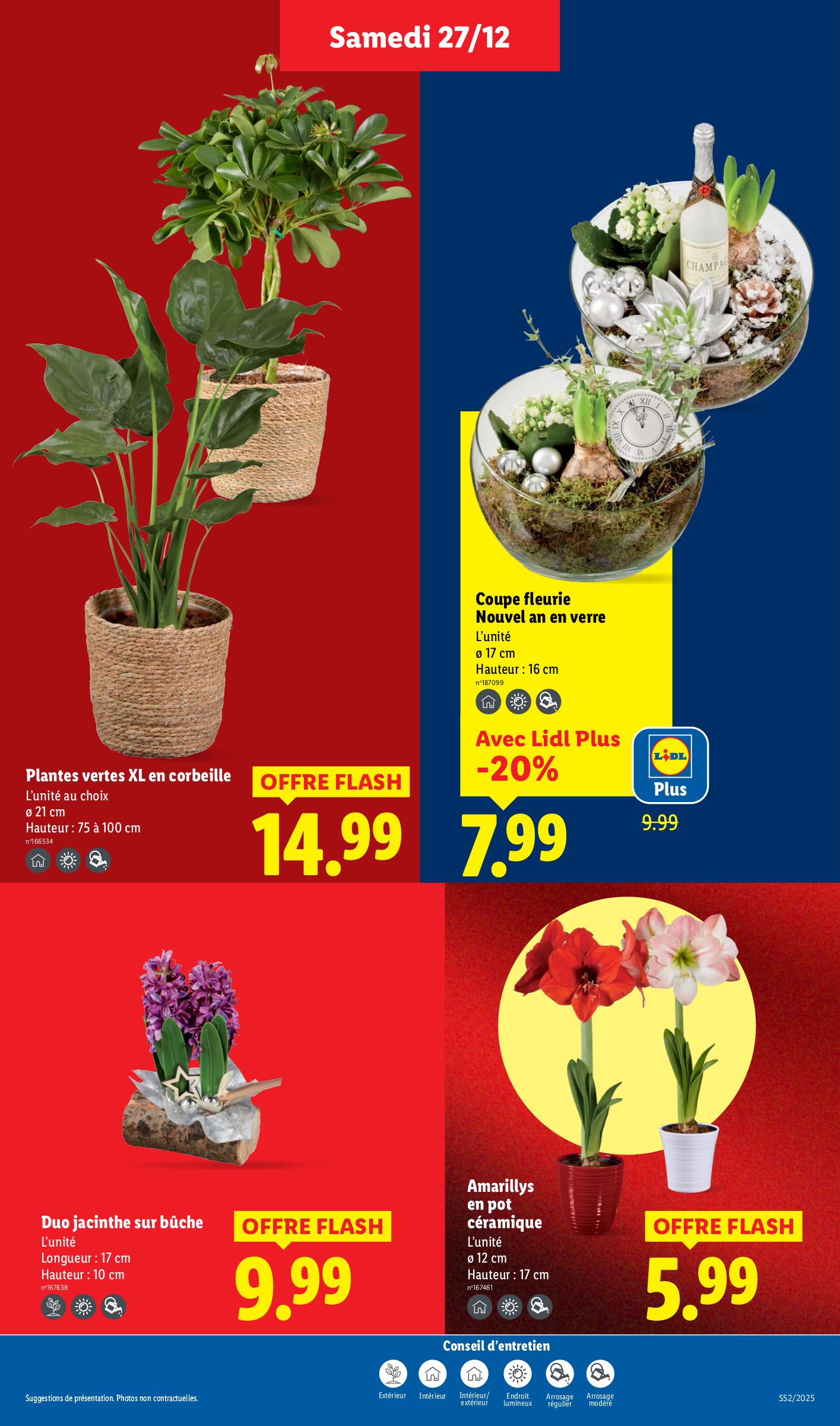lidl - Catalogue Lidl valable du 27/12 au 02/01 - page: 31