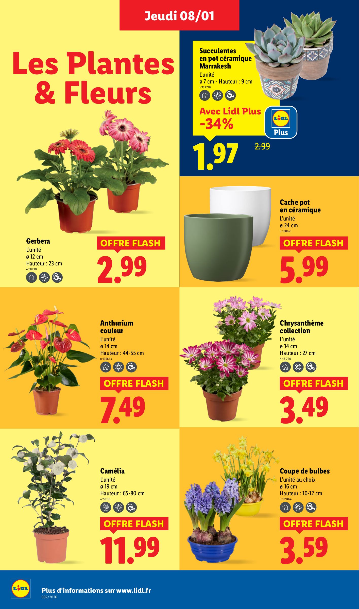 lidl - Catalogue Lidl - Les promos de la semaine valable du 08/01 au 14/01 - page: 28