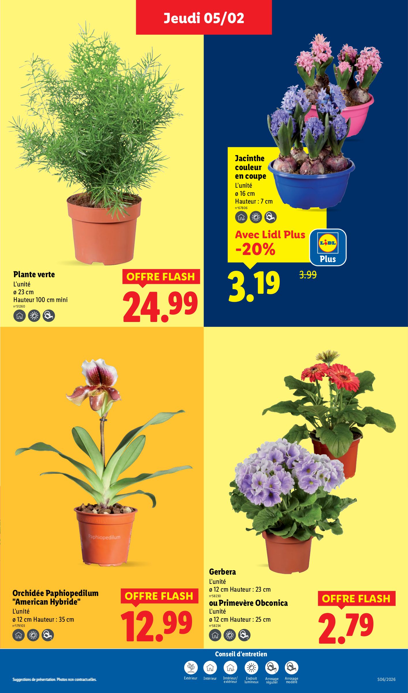 lidl - Catalogue Lidl valable du 05/02 au 11/02 - page: 31