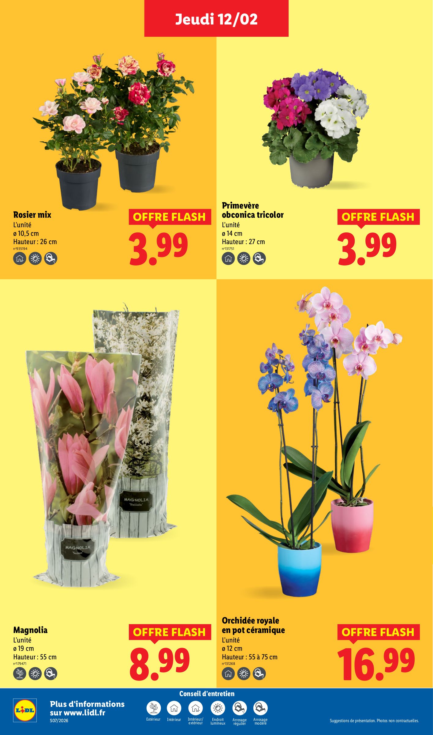 lidl - Catalogue Lidl - Les promos de la semaine valable du 12/02/2026 au 18/02/2026 - page: 34