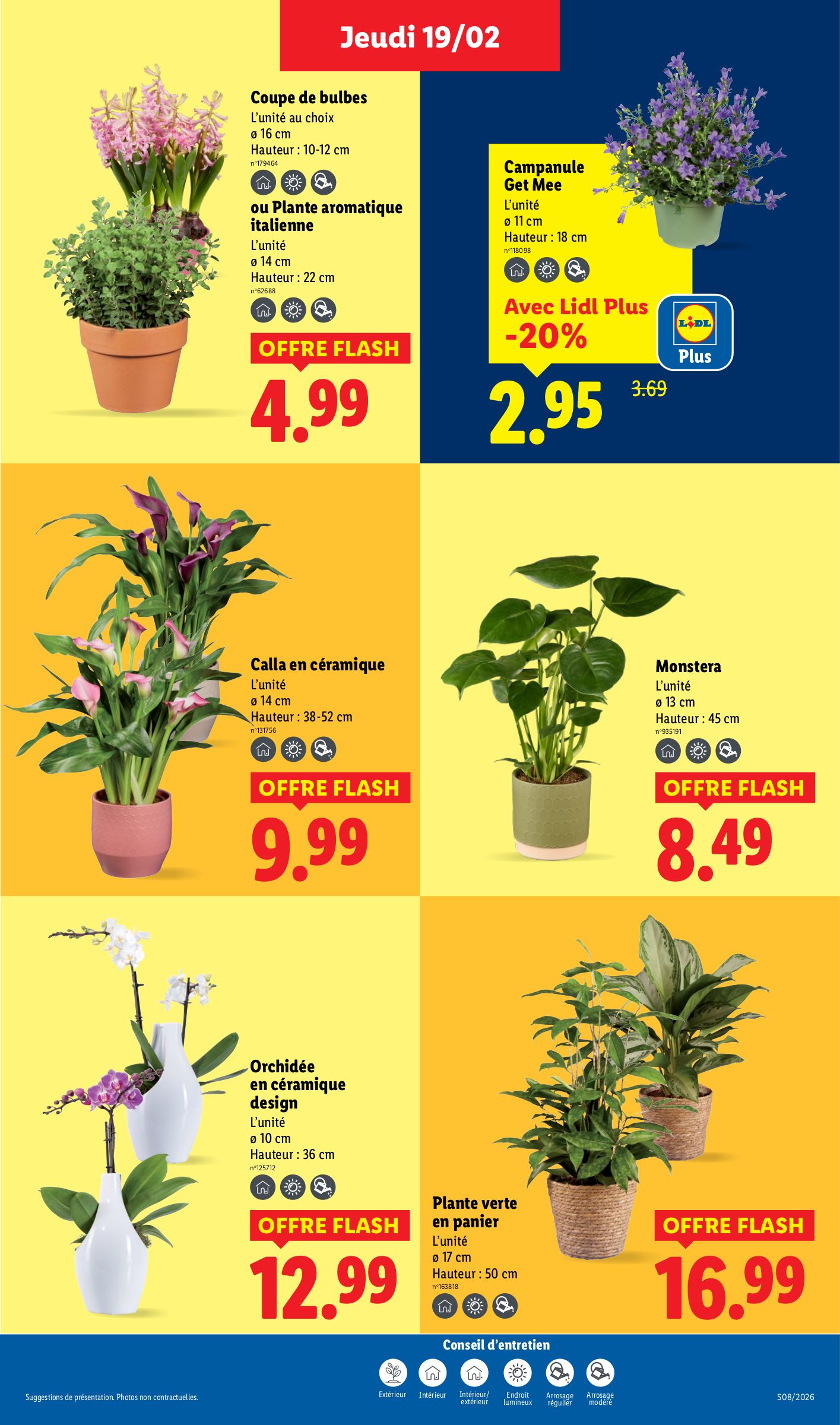lidl - Catalogue Lidl valable du 19/02/2026 au 25/02/2026 - page: 29