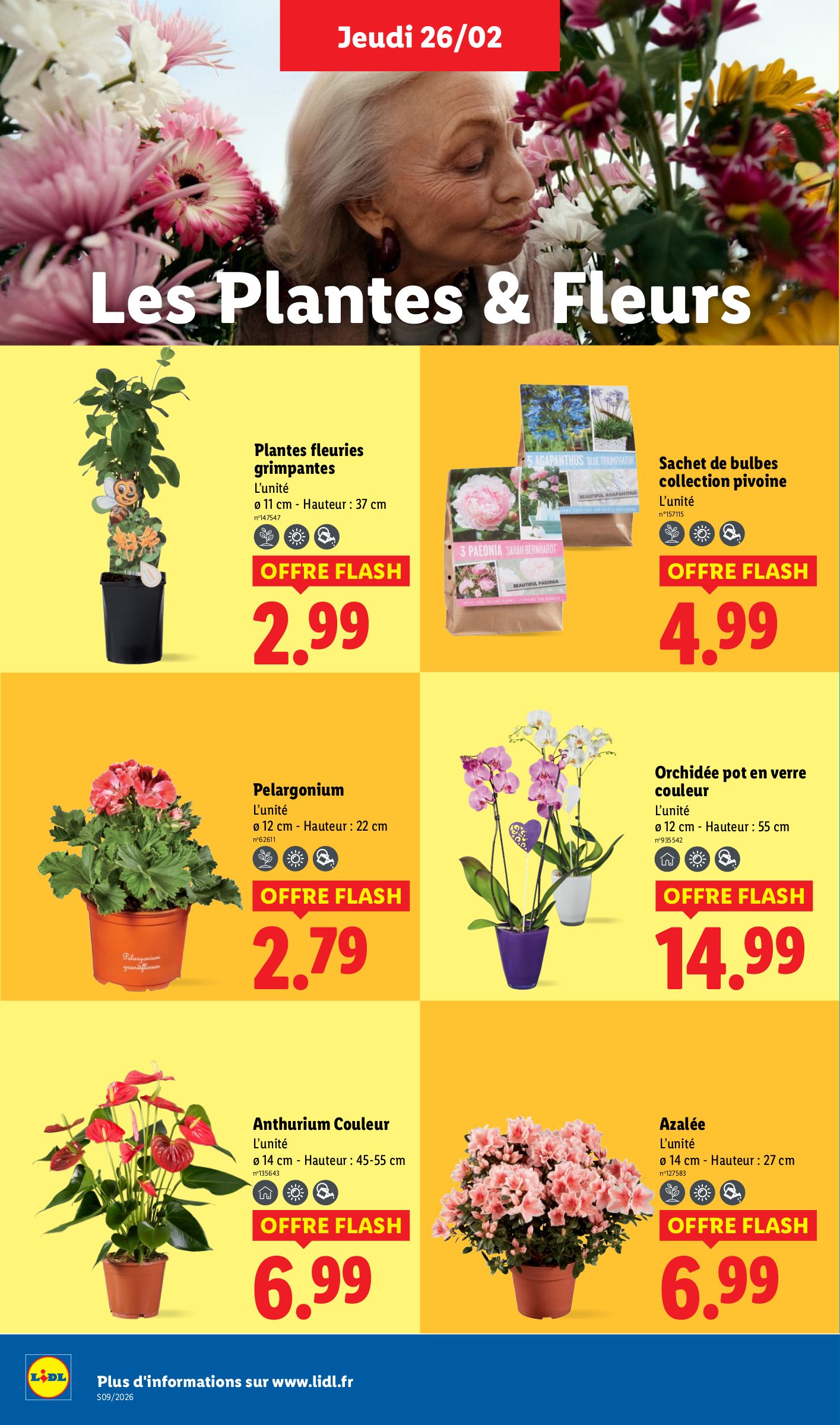 lidl - Catalogue Lidl valable du 26/02/2026 au 04/03/2026 - page: 28