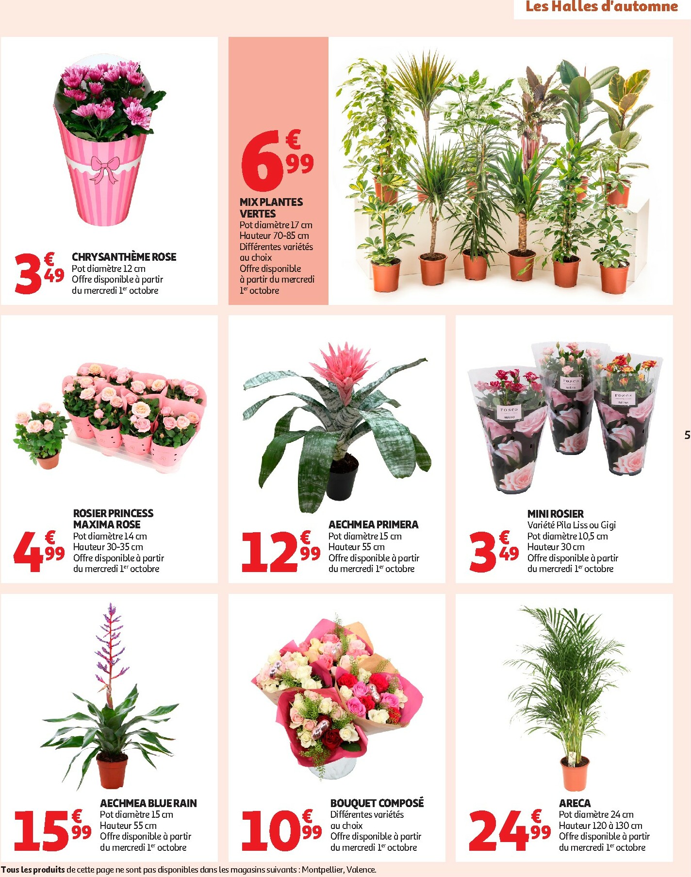 auchan - Catalogue Auchan - Les Halles d'automne : les prix bas, c'est toujours de saison valable du 30/09 au 12/10 - page: 5