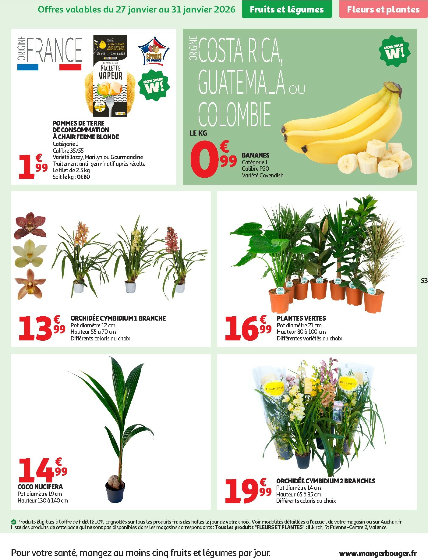 auchan - Catalogue Auchan - Tops produits, top prix valable du 27/01 au 08/02 - page: 53