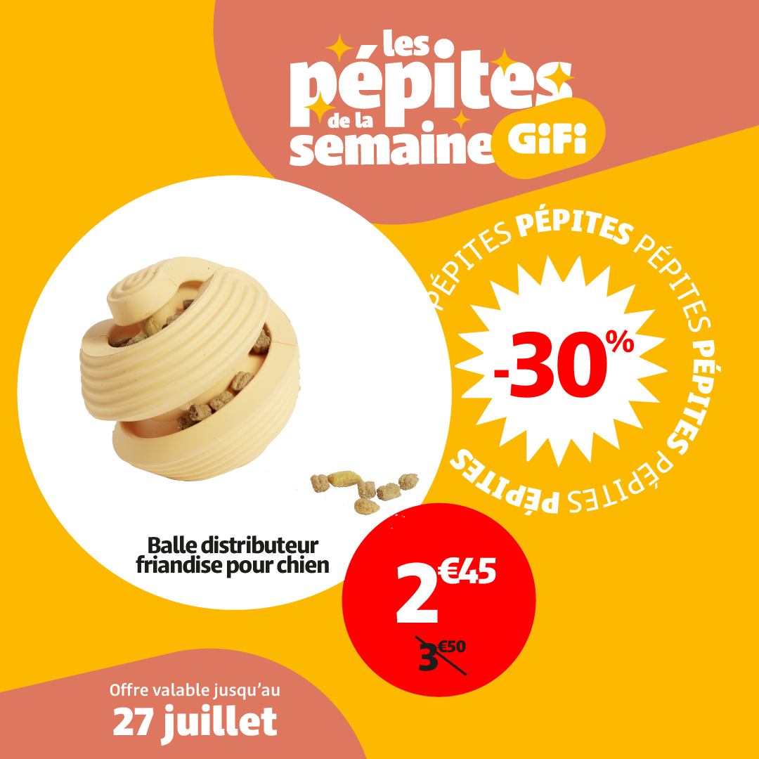 gifi - Catalogue Gifi - Les pépites de la semaine valable du 22/07 au 27/07
