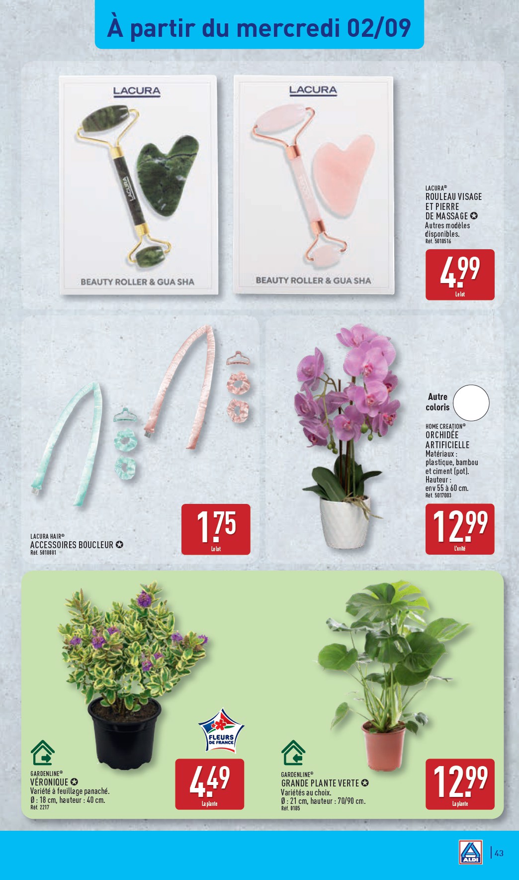 aldi - Flyer ALDI pour la semaine prochaine du du mardi 01/09/2026 au du lundi 07/09/2026 - page: 45