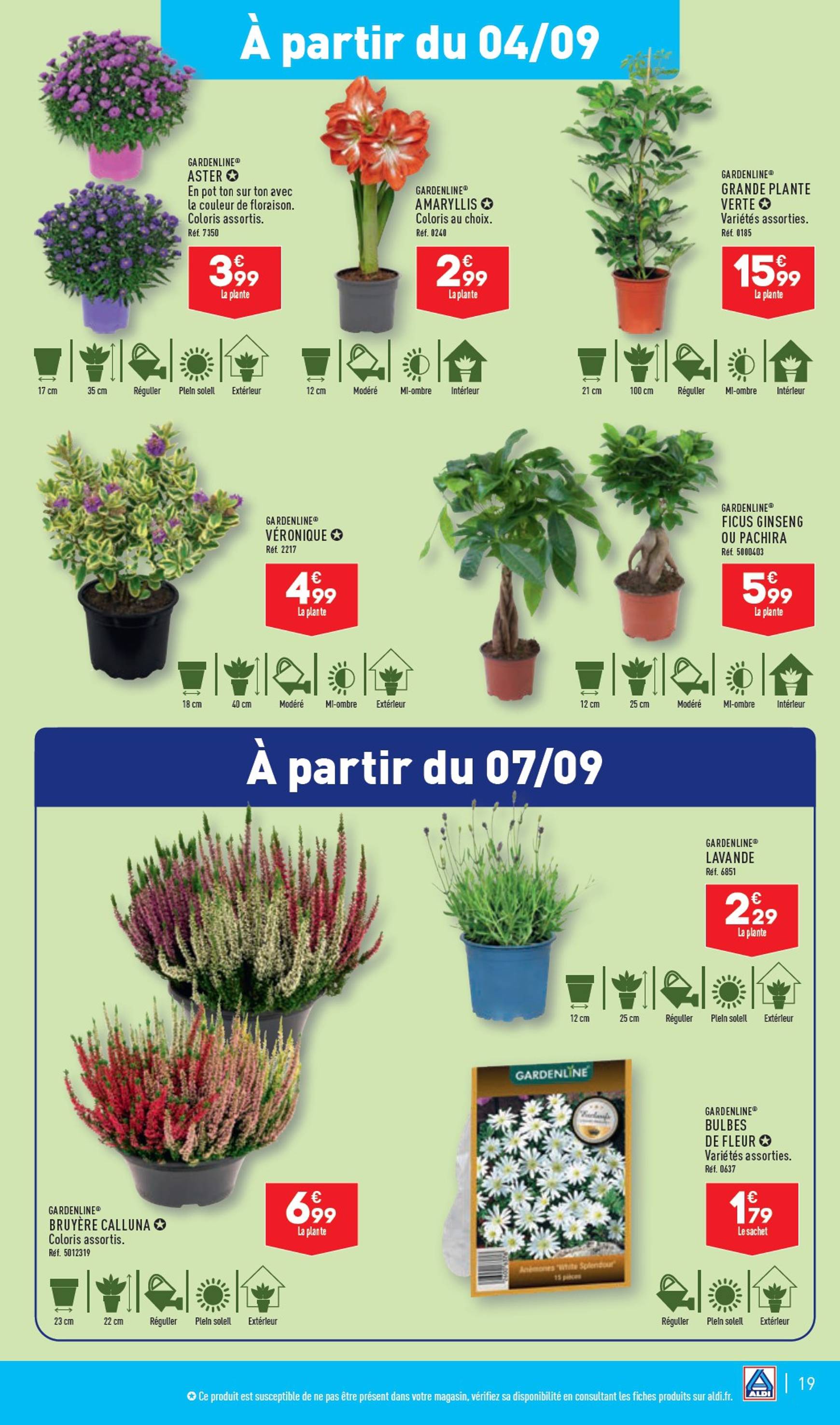 aldi - Catalogue ALDI valable dès 03.09. - 09.09. - page: 21