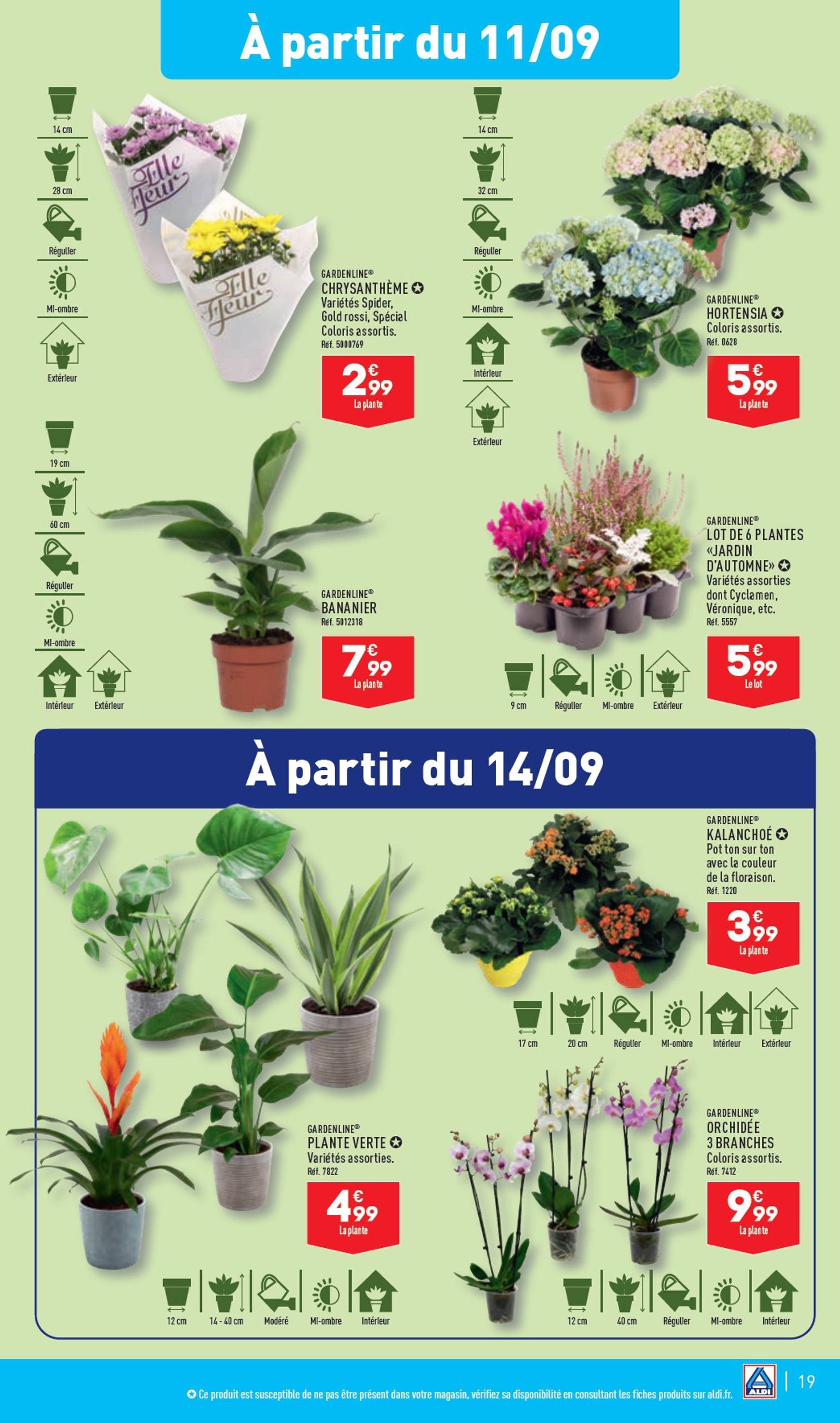 aldi - Catalogue ALDI valable dès 10.09. - 16.09. - page: 21