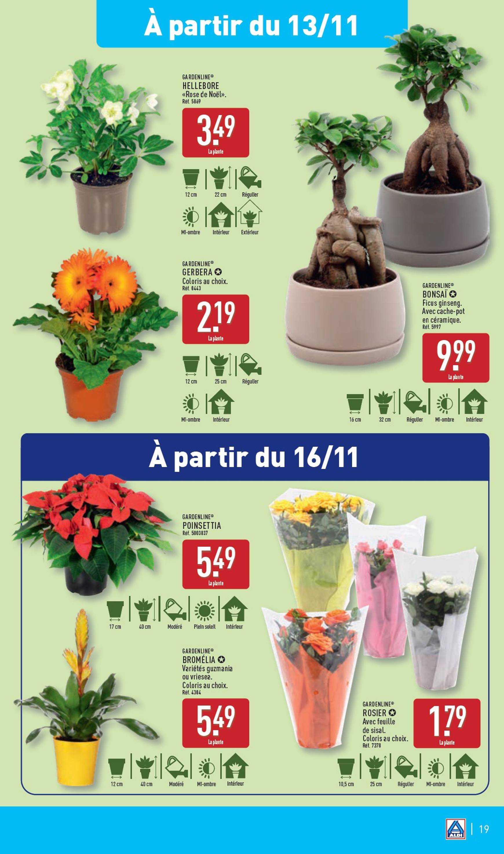 aldi - Catalogue ALDI valable dès 13.11. - 18.11. - page: 21