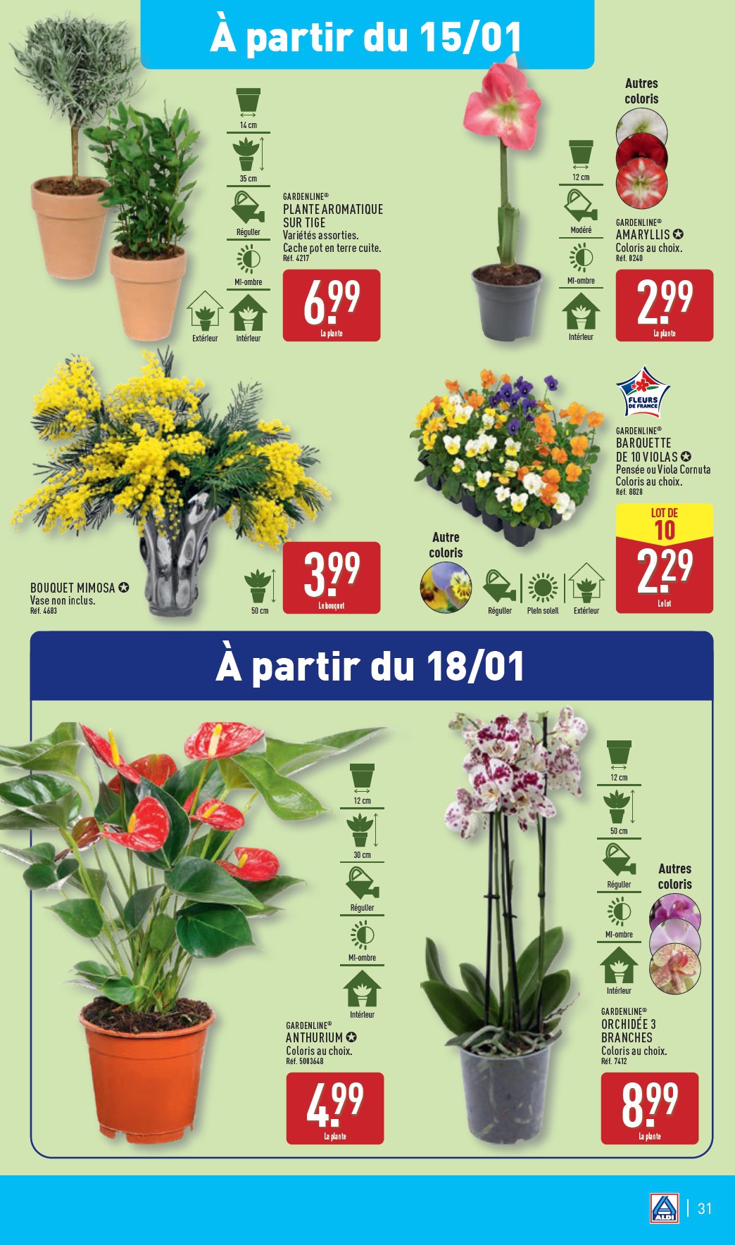 aldi - Catalogue ALDI valable dès 14/01 - 20/01 - page: 34