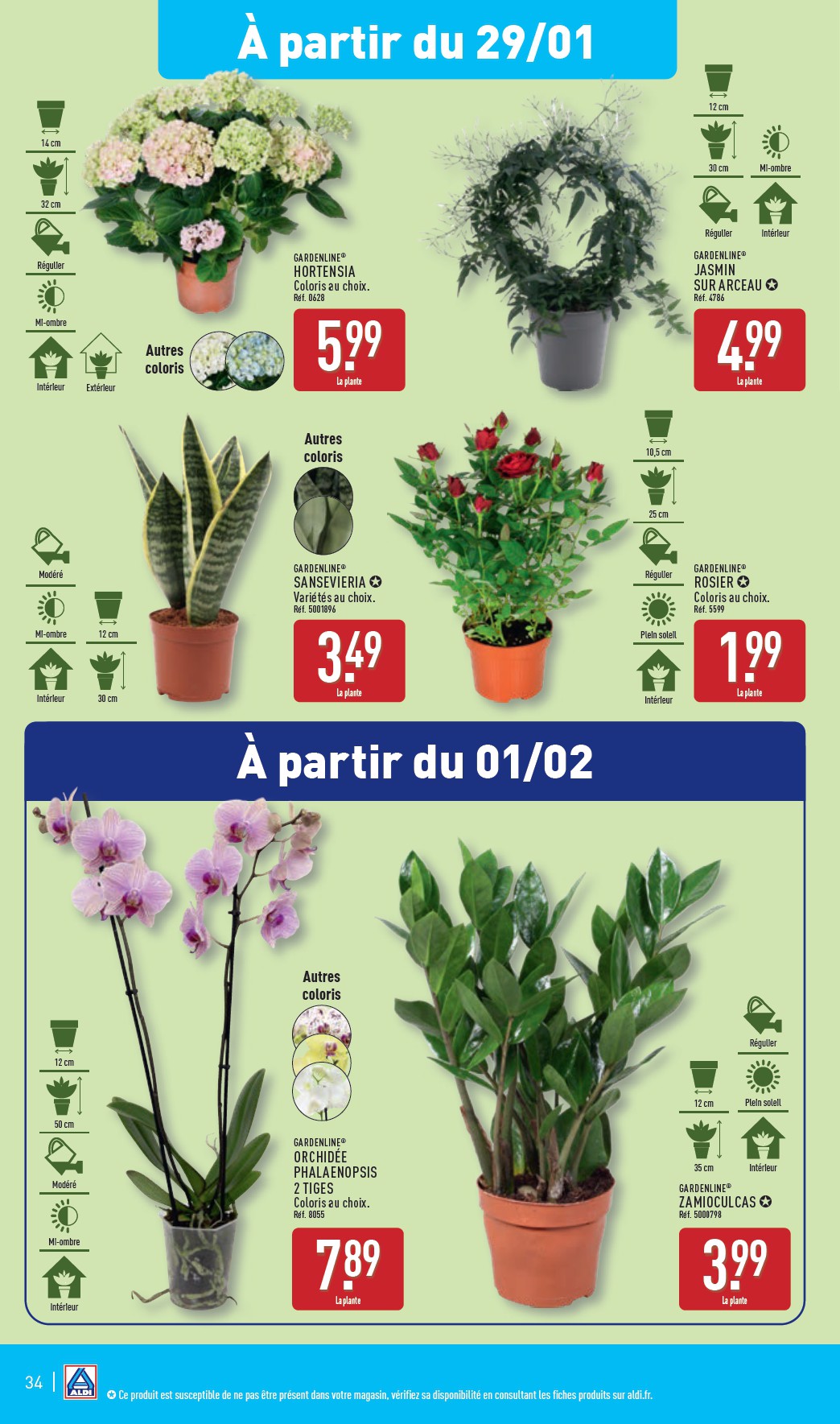 aldi - Catalogue ALDI valable dès 28/01 - 03/02 - page: 37