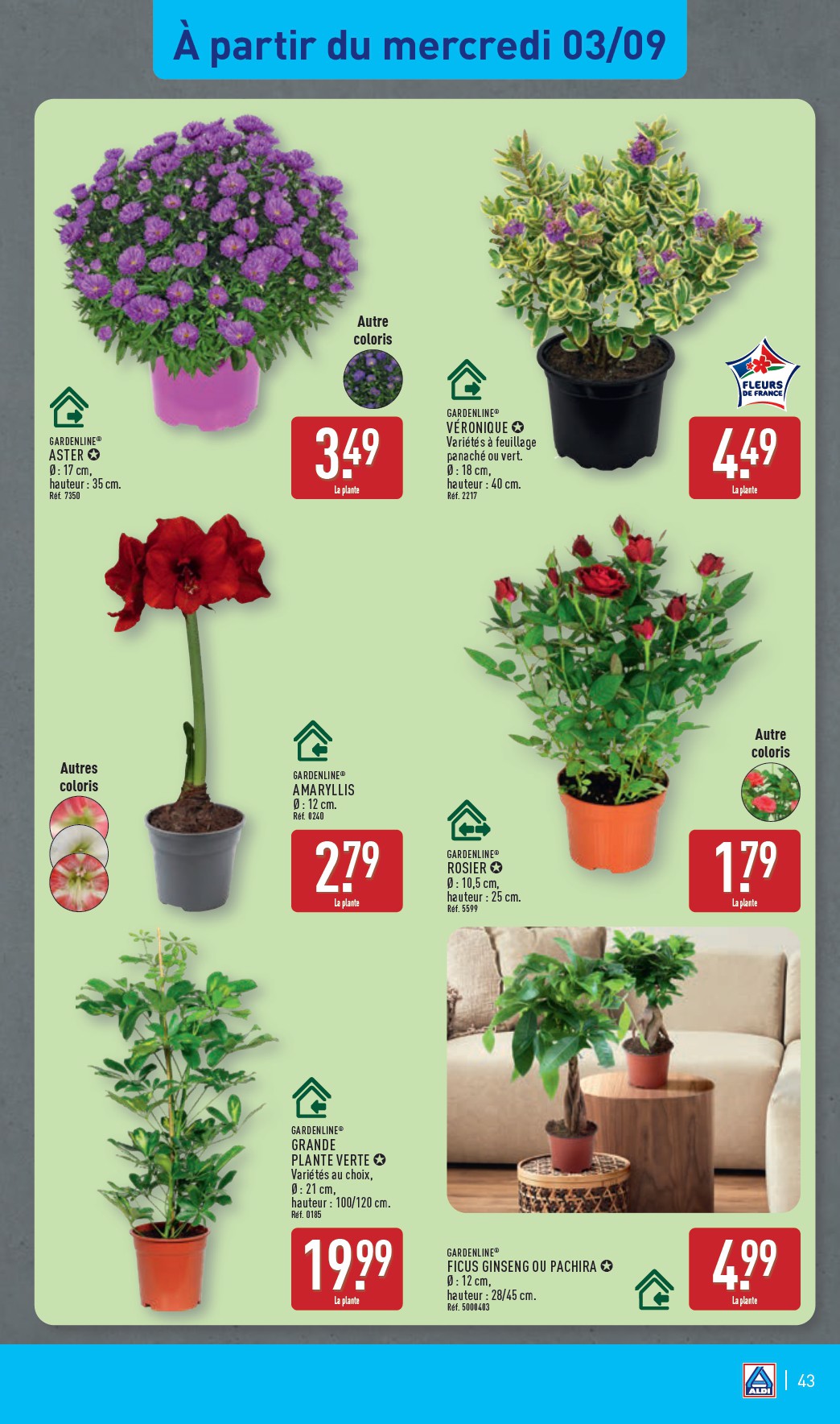 aldi - Catalogue ALDI valable du 02/09 au 08/09 - page: 46 aldi - Catalogue ALDI valable du 02/09 au 08/09 - page: 46