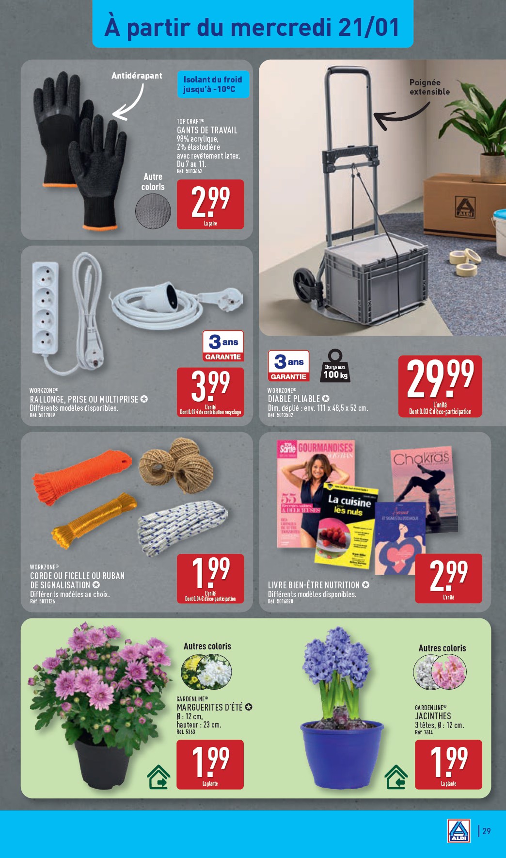 aldi - Catalogue ALDI valable du 20/01 au 26/01 - page: 31