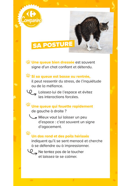 carrefour-market - Current Carrefour Market - Découvrez la Marque Carrefour Companino leaflet valid from du mardi 04/08/2026 to du lundi 07/09/2026 - page: 14