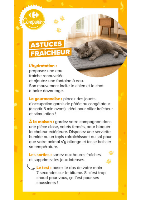 carrefour-market - Current Carrefour Market - Découvrez la Marque Carrefour Companino leaflet valid from du mardi 04/08/2026 to du lundi 07/09/2026 - page: 24