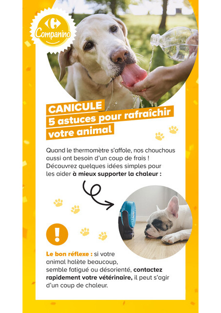 carrefour-market - Current Carrefour Market - Découvrez la Marque Carrefour Companino leaflet valid from du mardi 04/08/2026 to du lundi 07/09/2026 - page: 23