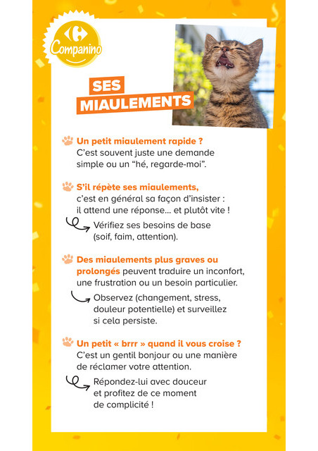 carrefour-market - Current Carrefour Market - Découvrez la Marque Carrefour Companino leaflet valid from du mardi 04/08/2026 to du lundi 07/09/2026 - page: 13