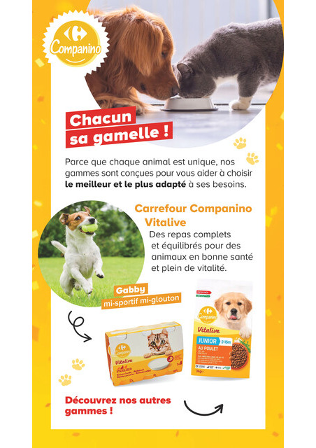 carrefour-market - Current Carrefour Market - Découvrez la Marque Carrefour Companino leaflet valid from du mardi 04/08/2026 to du lundi 07/09/2026 - page: 8