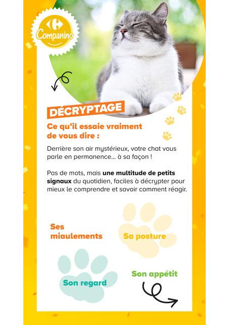 carrefour-market - Current Carrefour Market - Découvrez la Marque Carrefour Companino leaflet valid from du mardi 04/08/2026 to du lundi 07/09/2026 - page: 12