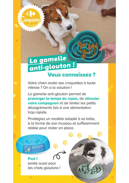 carrefour-market - Current Carrefour Market - Découvrez la Marque Carrefour Companino leaflet valid from du mardi 04/08/2026 to du lundi 07/09/2026 - page: 21