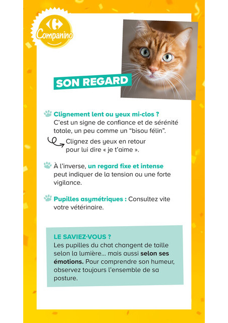 carrefour-market - Current Carrefour Market - Découvrez la Marque Carrefour Companino leaflet valid from du mardi 04/08/2026 to du lundi 07/09/2026 - page: 15