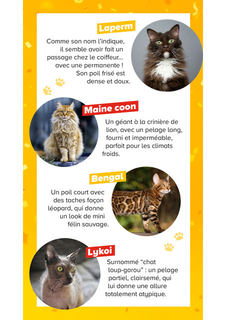 carrefour-market - Current Carrefour Market - Découvrez la Marque Carrefour Companino leaflet valid from du mardi 04/08/2026 to du lundi 07/09/2026 - page: 18