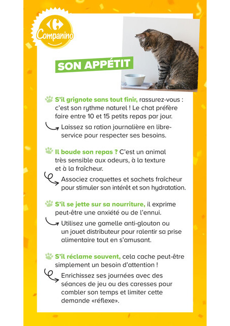 carrefour-market - Current Carrefour Market - Découvrez la Marque Carrefour Companino leaflet valid from du mardi 04/08/2026 to du lundi 07/09/2026 - page: 16