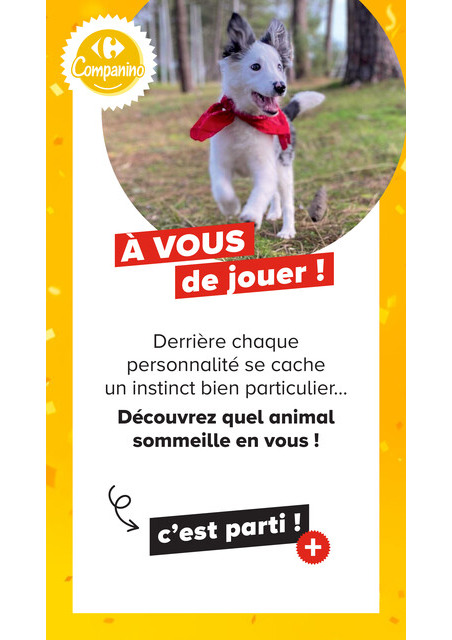 carrefour-market - Current Carrefour Market - Découvrez la Marque Carrefour Companino leaflet valid from du mardi 04/08/2026 to du lundi 07/09/2026 - page: 28