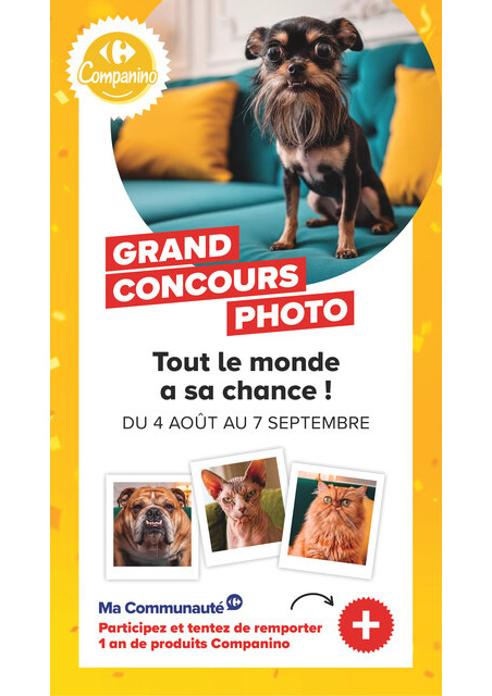 carrefour-market - Current Carrefour Market - Découvrez la Marque Carrefour Companino leaflet valid from du mardi 04/08/2026 to du lundi 07/09/2026 - page: 26