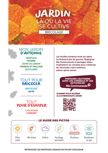 carrefour-market - Flyer Carrefour Market - Là ou la vie se cultive pour la semaine prochaine du du mardi 22/09/2026 au du dimanche 11/10/2026 - page: 2