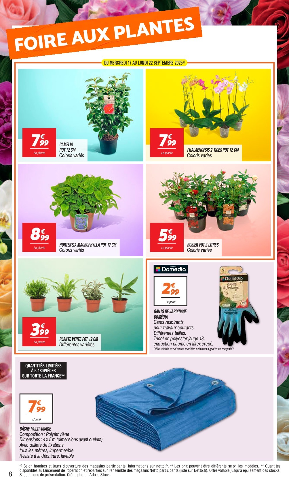netto - Catalogue Netto valable du 16/09 au 22/09 - page: 8
