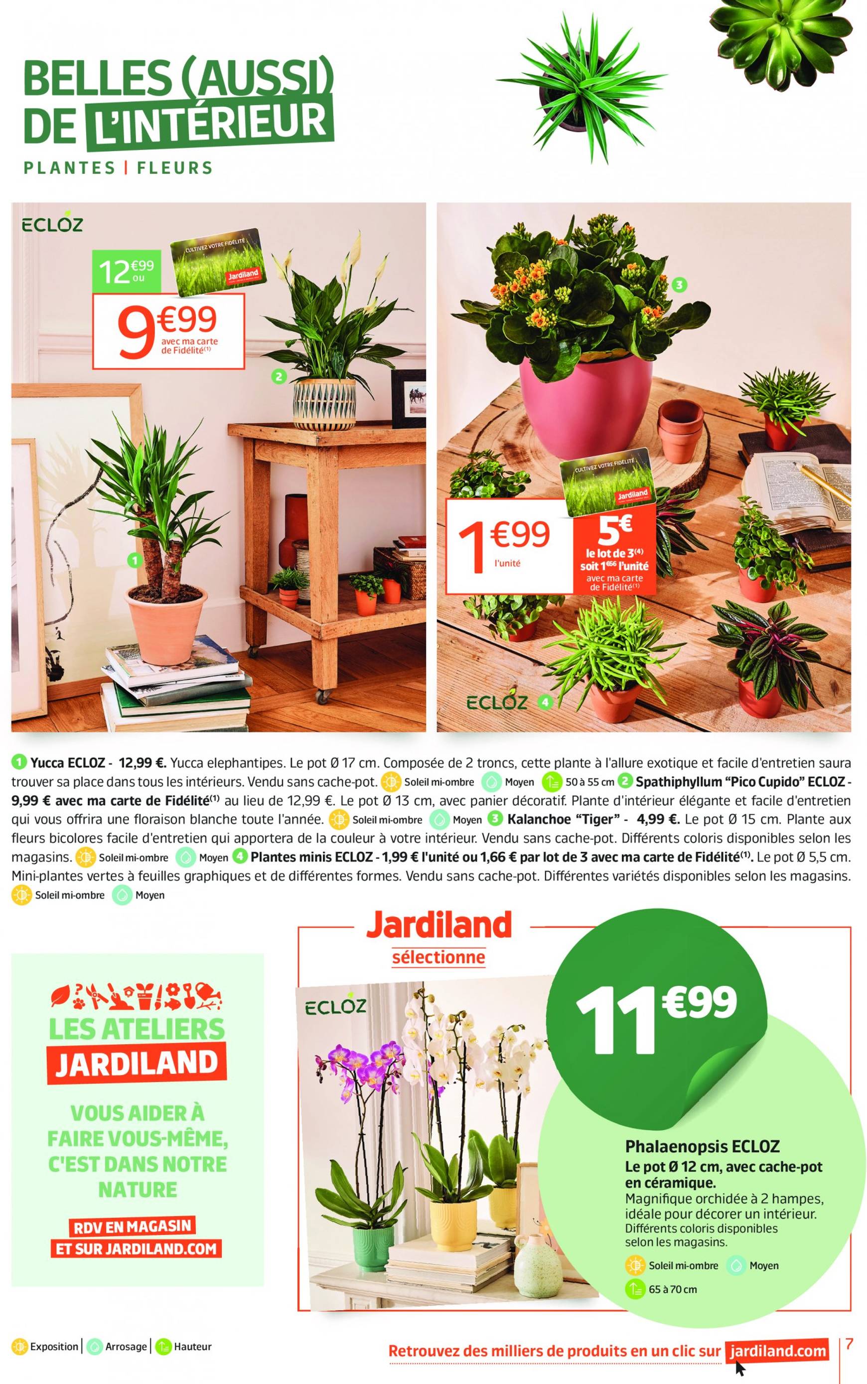 jardiland - Catalogue Jardiland valable dès 28.08. - 08.09. - page: 7