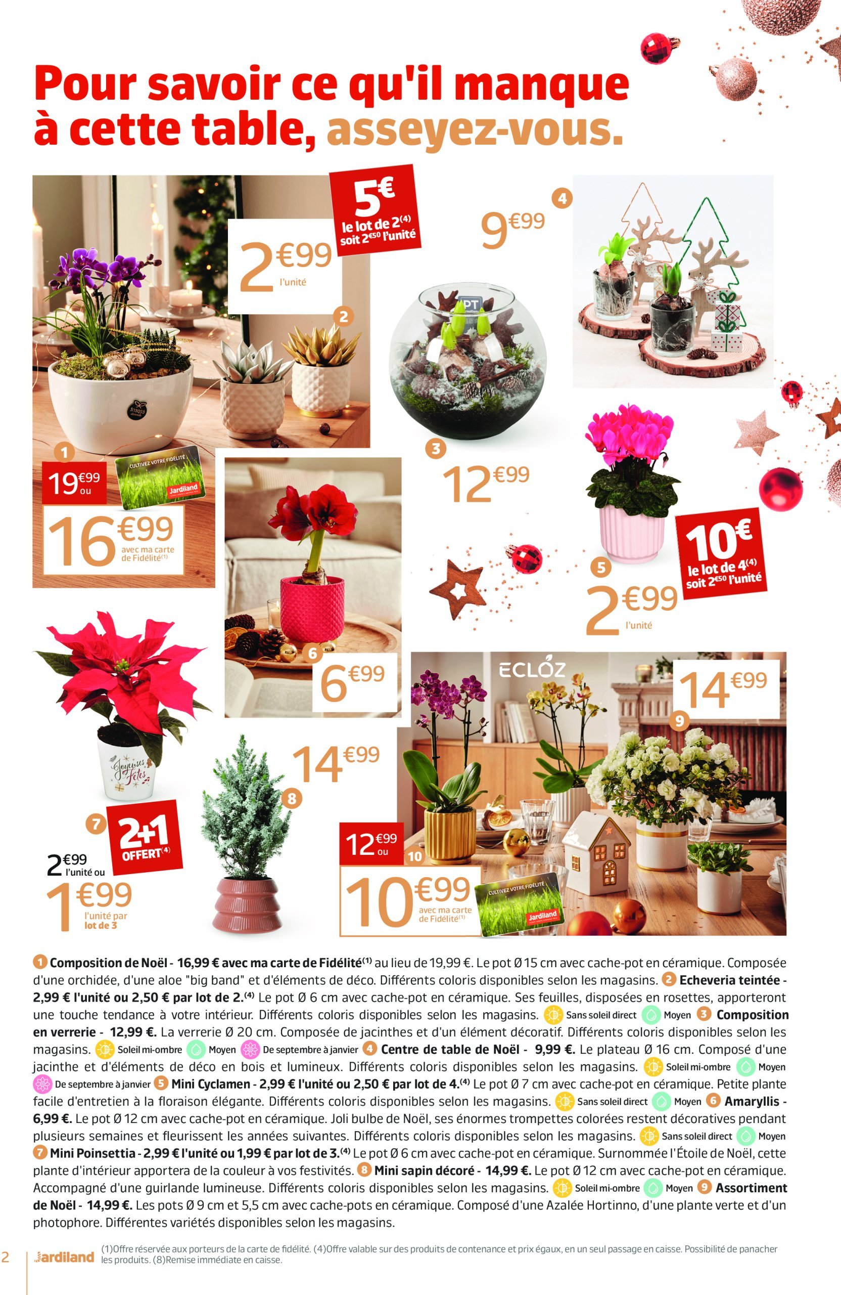 jardiland - Catalogue Jardiland valable dès 18/12 - 24/12 - page: 2