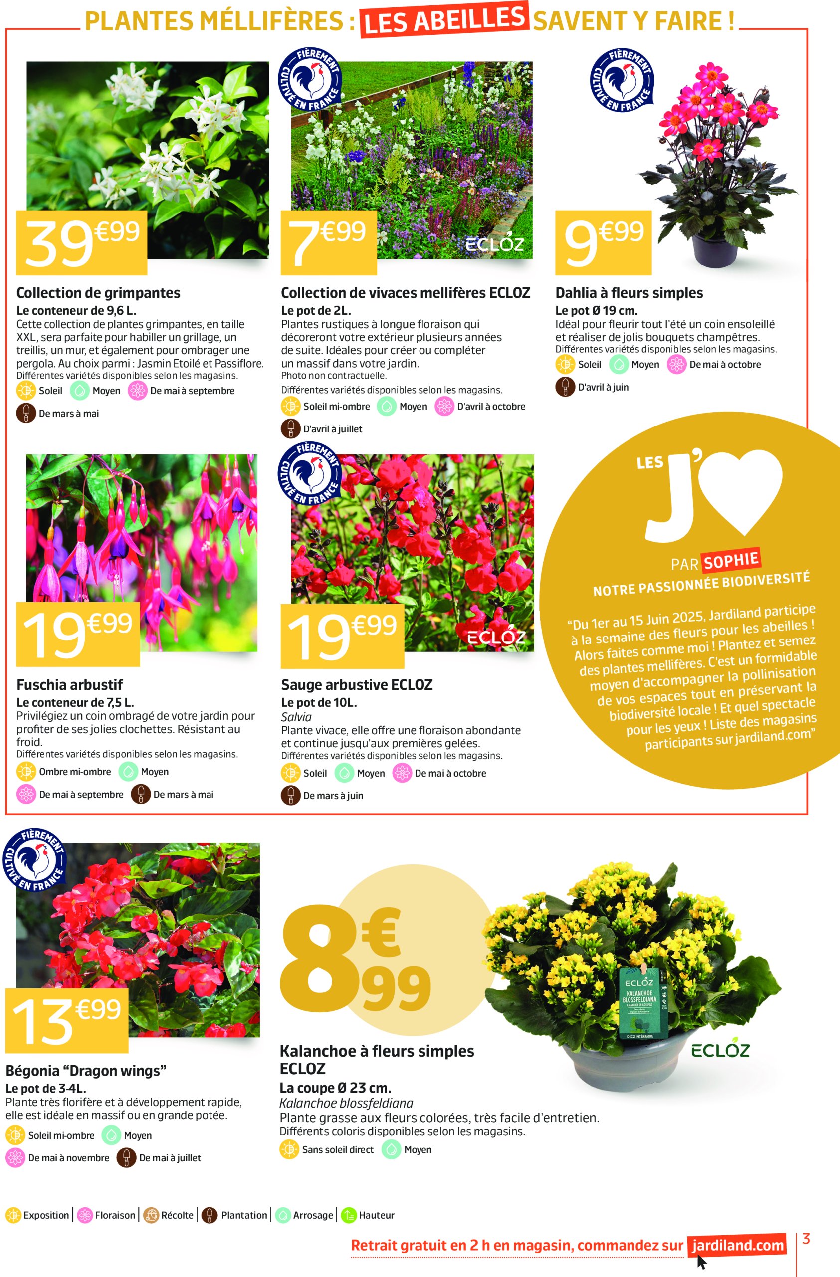 jardiland - Catalogue Jardiland valable dès 27/05 - 09/06 - page: 3