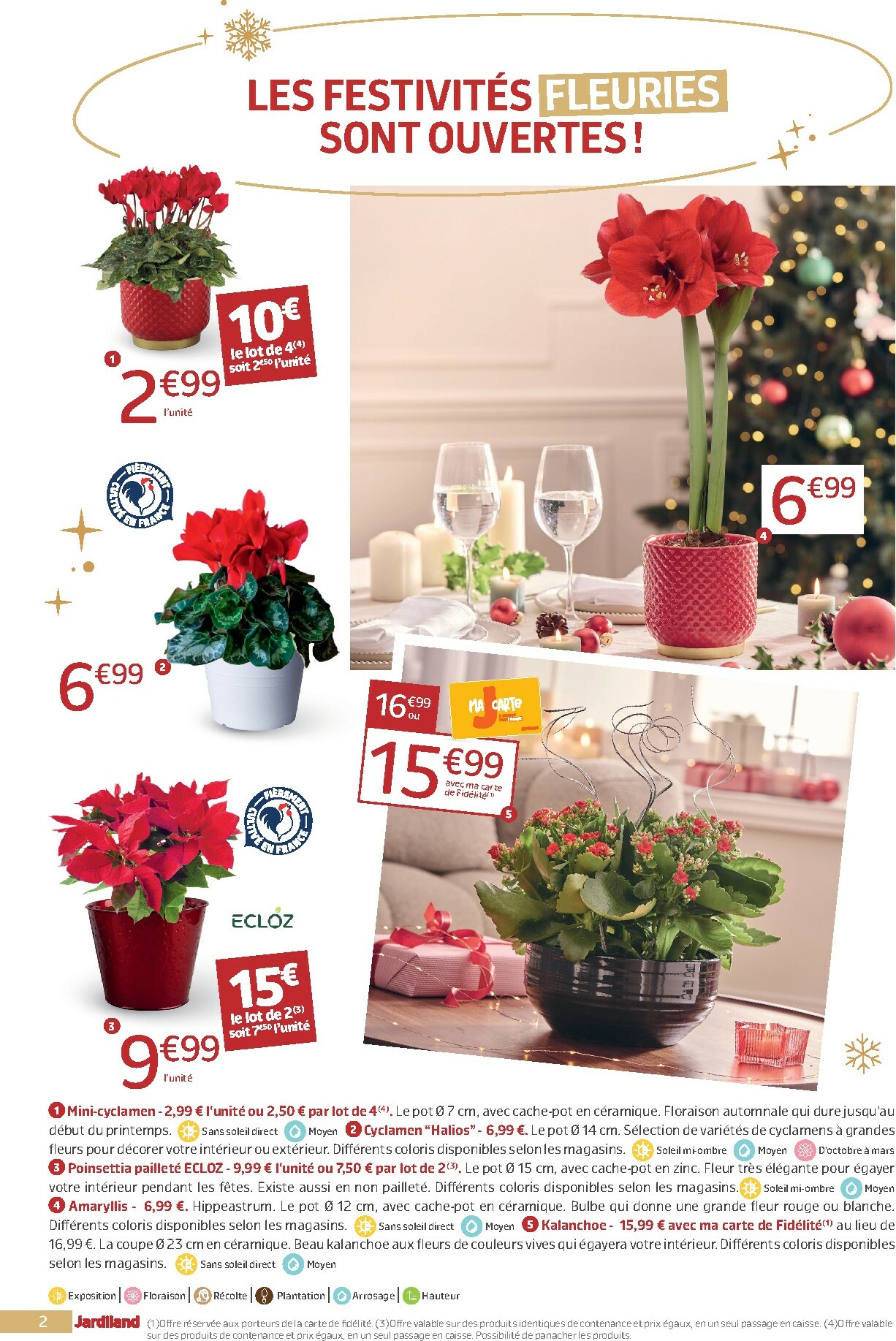 jardiland - Catalogue Jardiland valable du 12/12 au 31/12 - page: 2