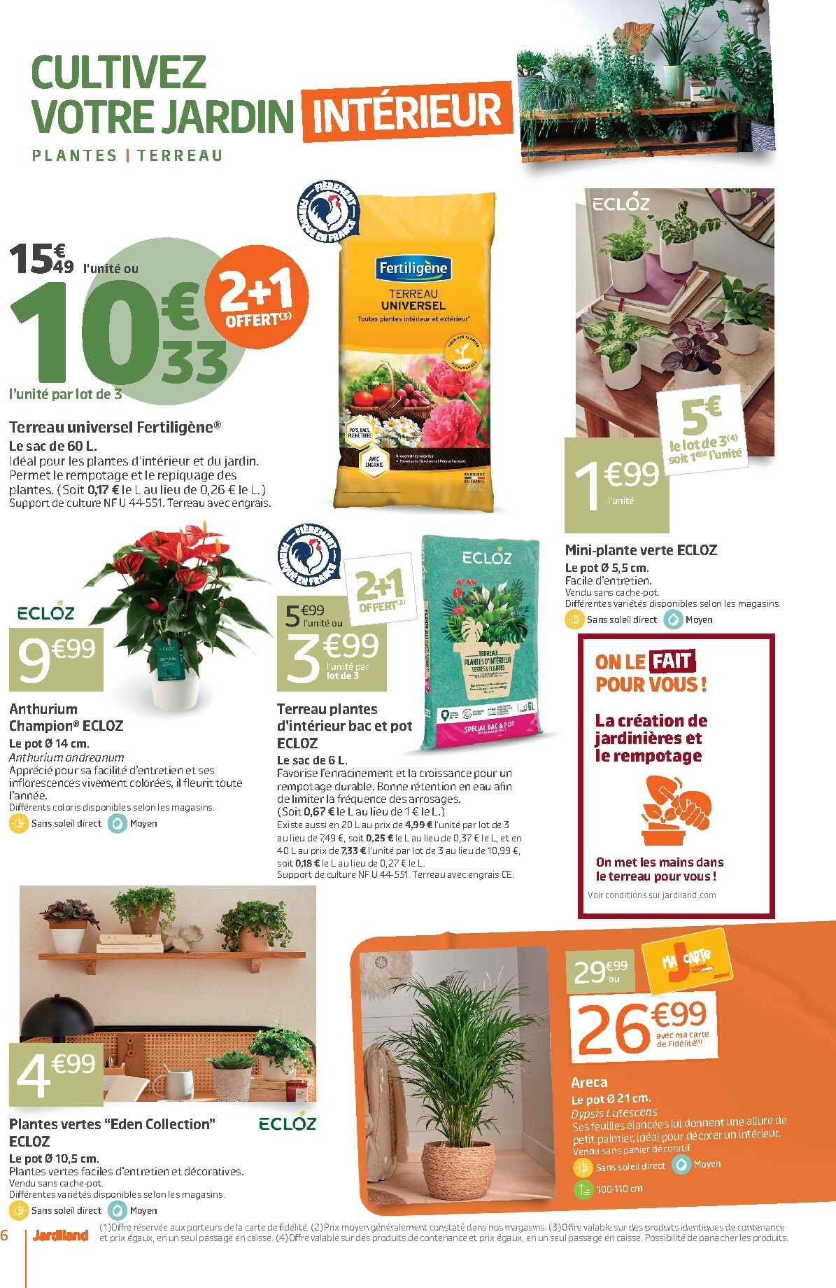 jardiland - Catalogue Jardiland valable du 04/02/2026 au 15/02/2026 - page: 6