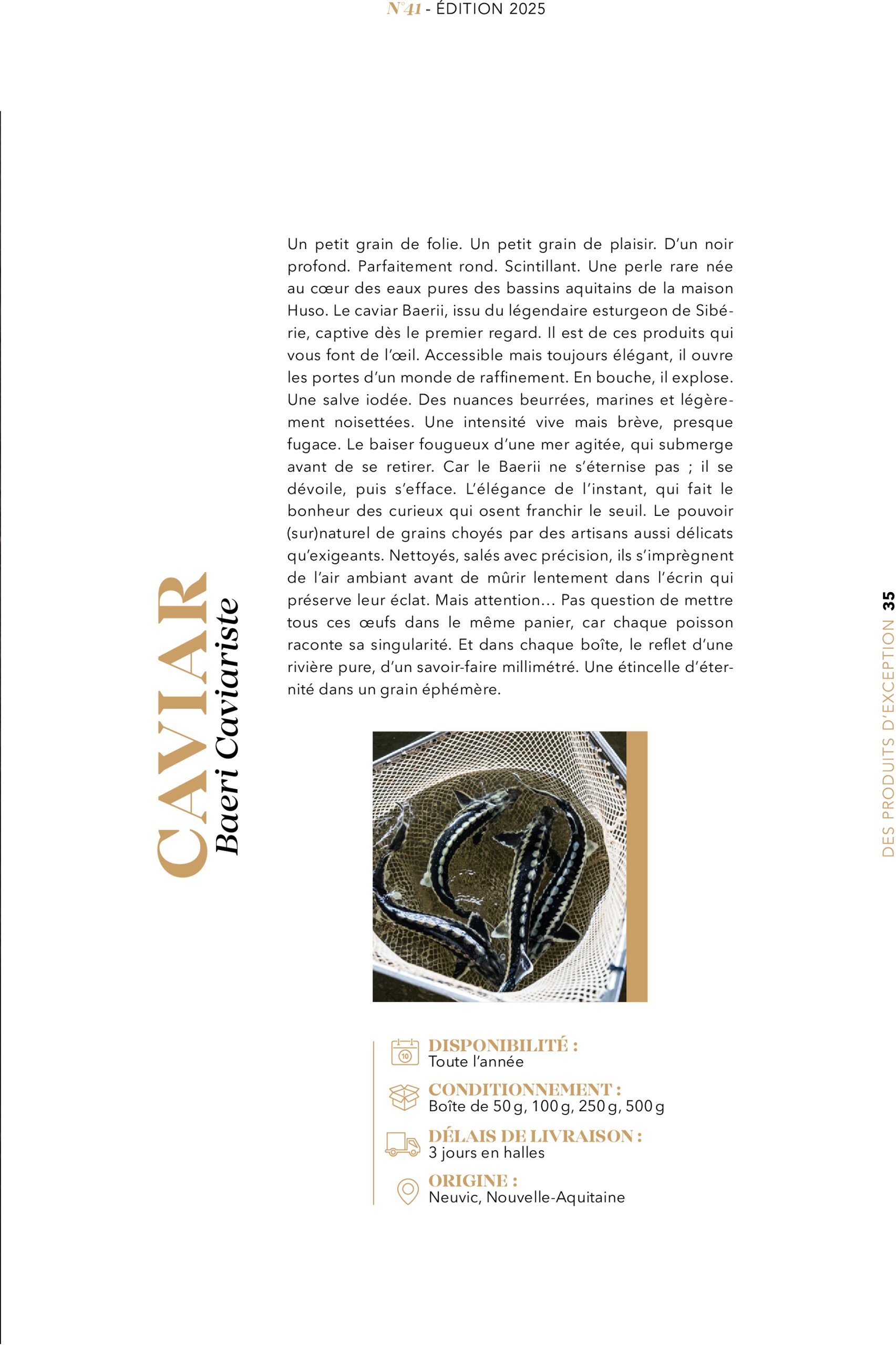 metro - Catalogue Metro - #PREMIUM édition 2025 valable du 01/07 au 31/07 - page: 35 metro - Catalogue Metro - #PREMIUM édition 2025 valable du 01/07 au 31/07 - page: 35