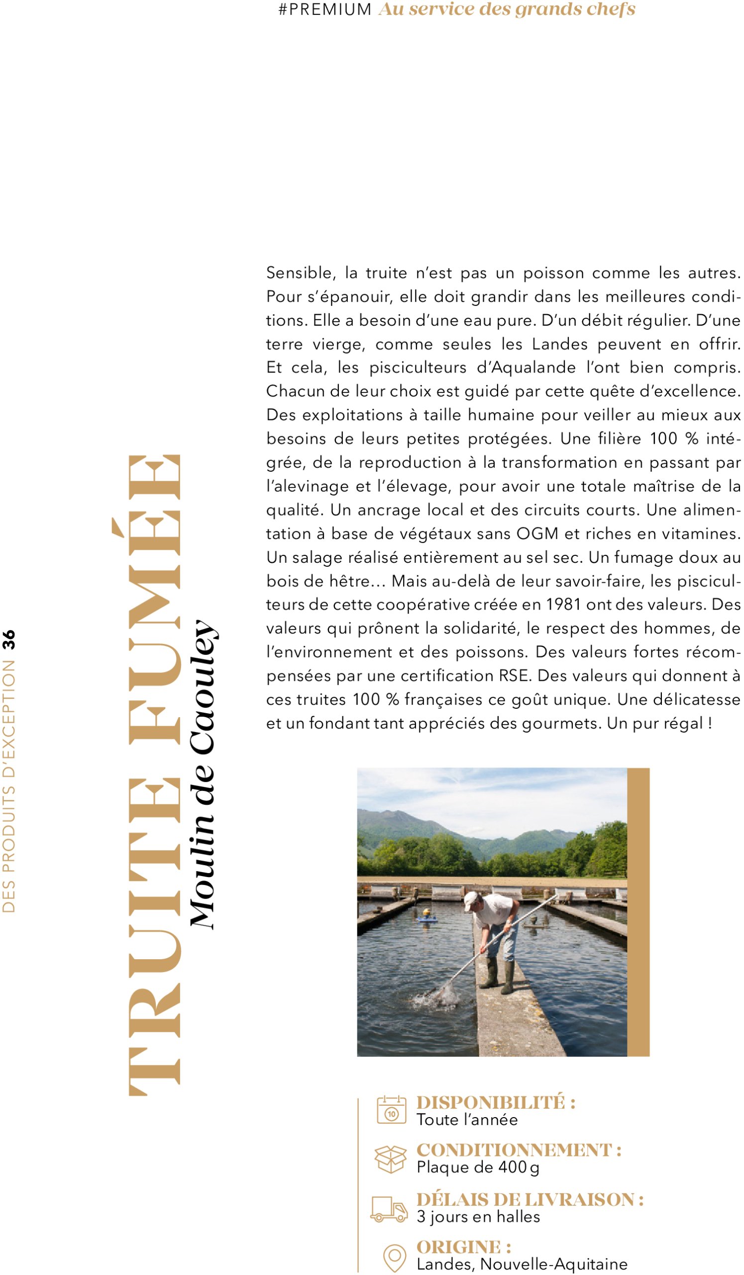 metro - Catalogue Metro - #PREMIUM édition 2025 valable du 01/07 au 31/07 - page: 36 metro - Catalogue Metro - #PREMIUM édition 2025 valable du 01/07 au 31/07 - page: 36