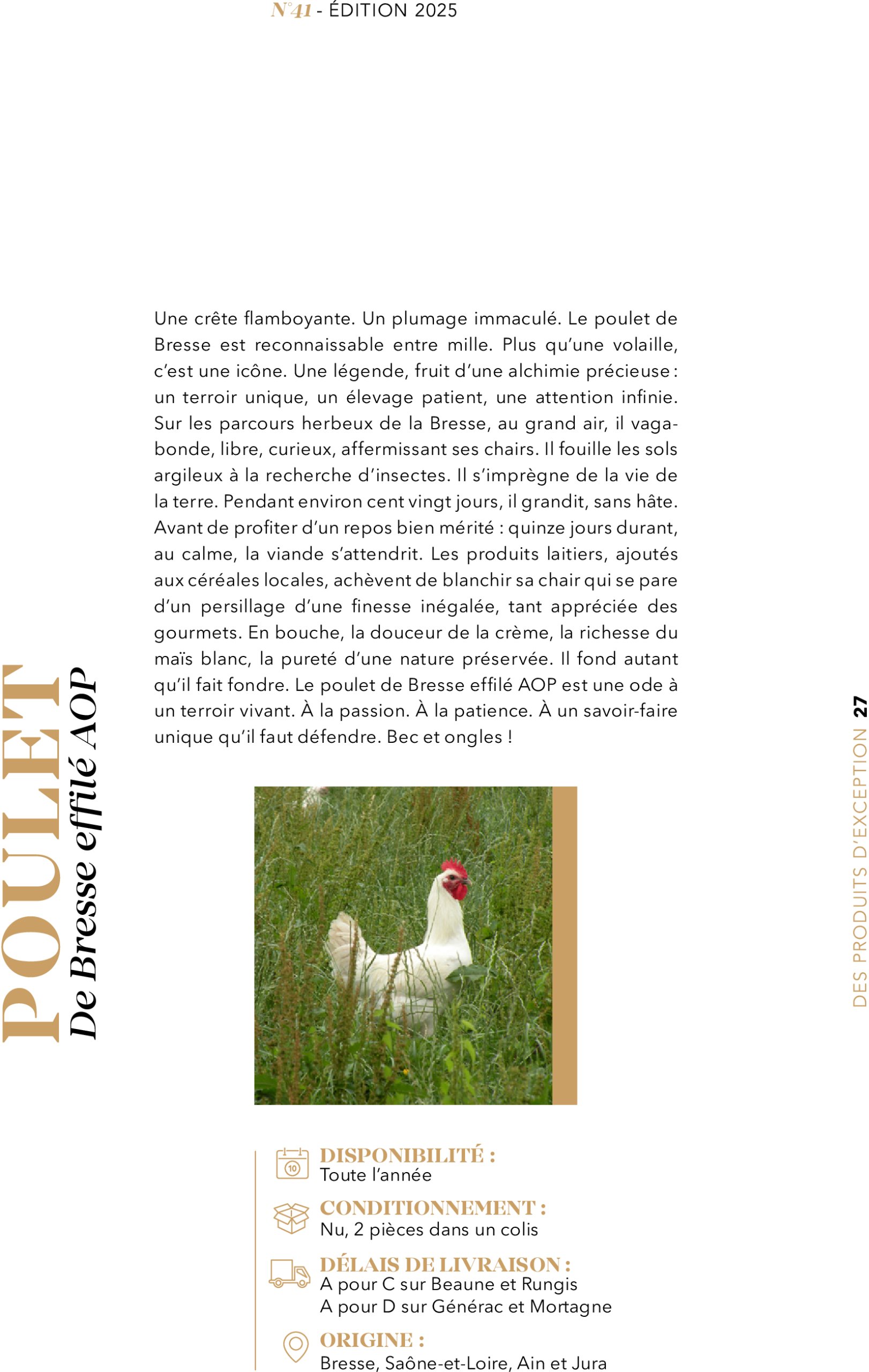metro - Catalogue Metro - #PREMIUM édition 2025 valable du 01/07 au 31/07 - page: 27 metro - Catalogue Metro - #PREMIUM édition 2025 valable du 01/07 au 31/07 - page: 27