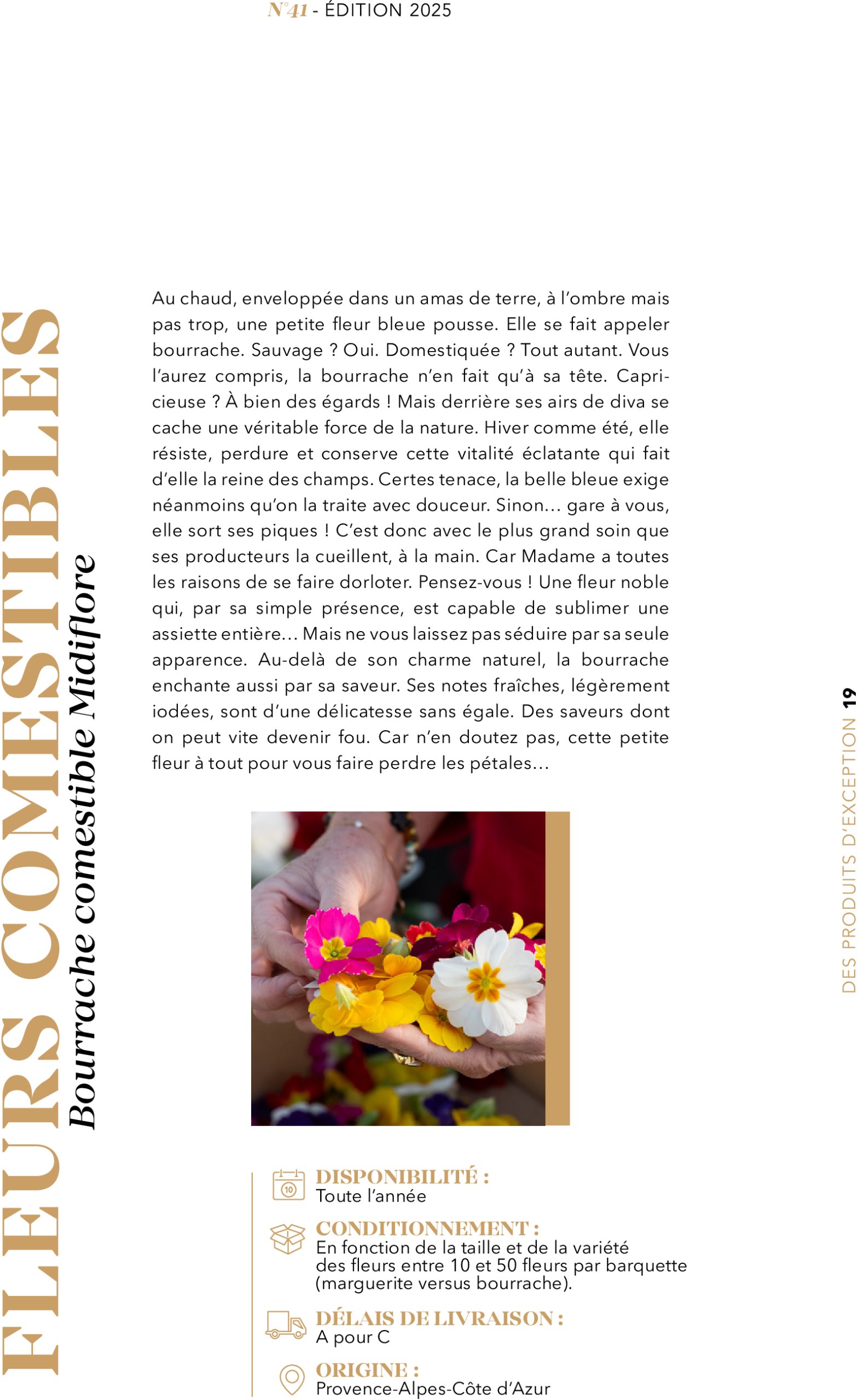 metro - Catalogue Metro - #PREMIUM édition 2025 valable du 01/07 au 31/07 - page: 19 metro - Catalogue Metro - #PREMIUM édition 2025 valable du 01/07 au 31/07 - page: 19