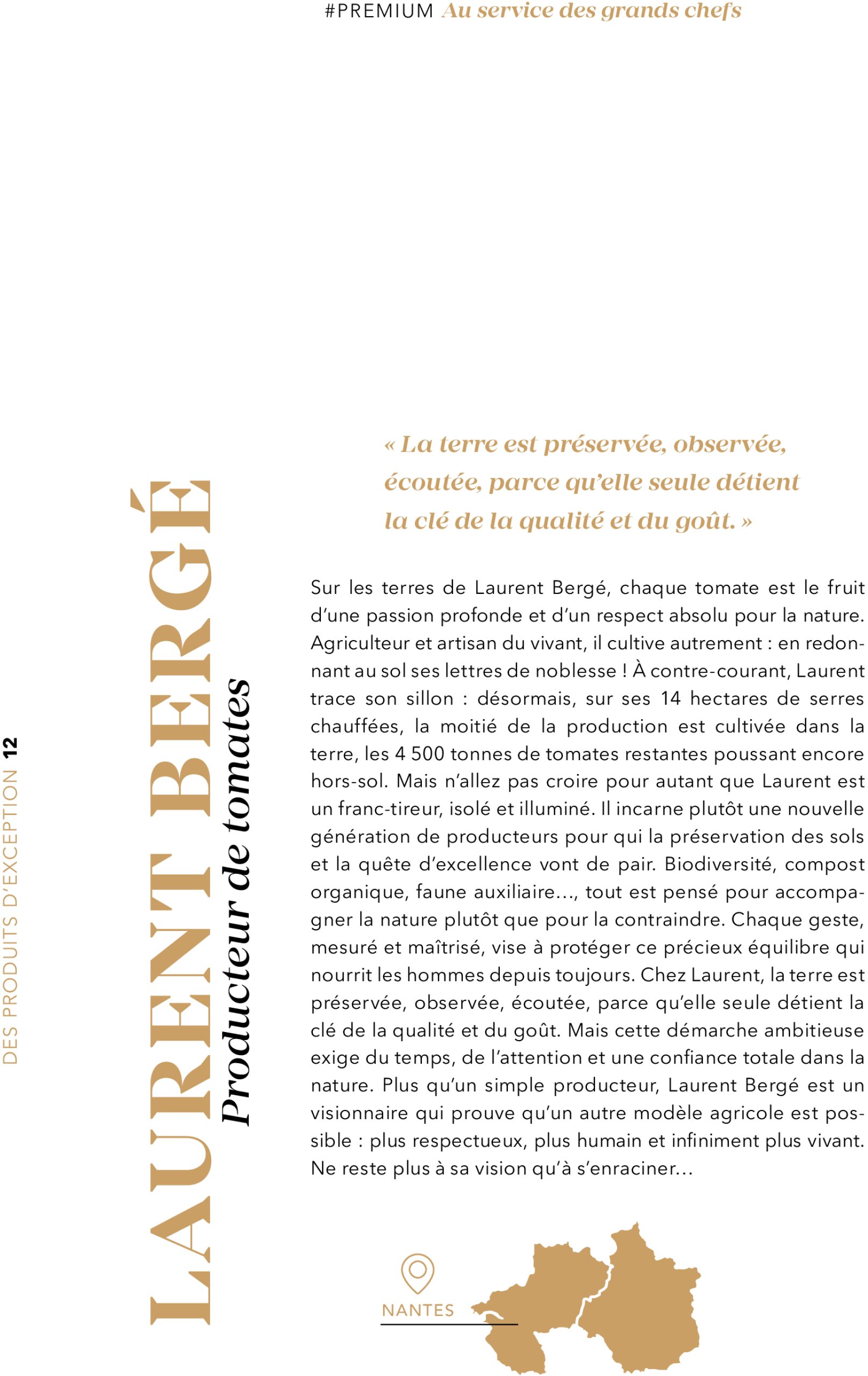 metro - Catalogue Metro - #PREMIUM édition 2025 valable du 01/07 au 31/07 - page: 12 metro - Catalogue Metro - #PREMIUM édition 2025 valable du 01/07 au 31/07 - page: 12