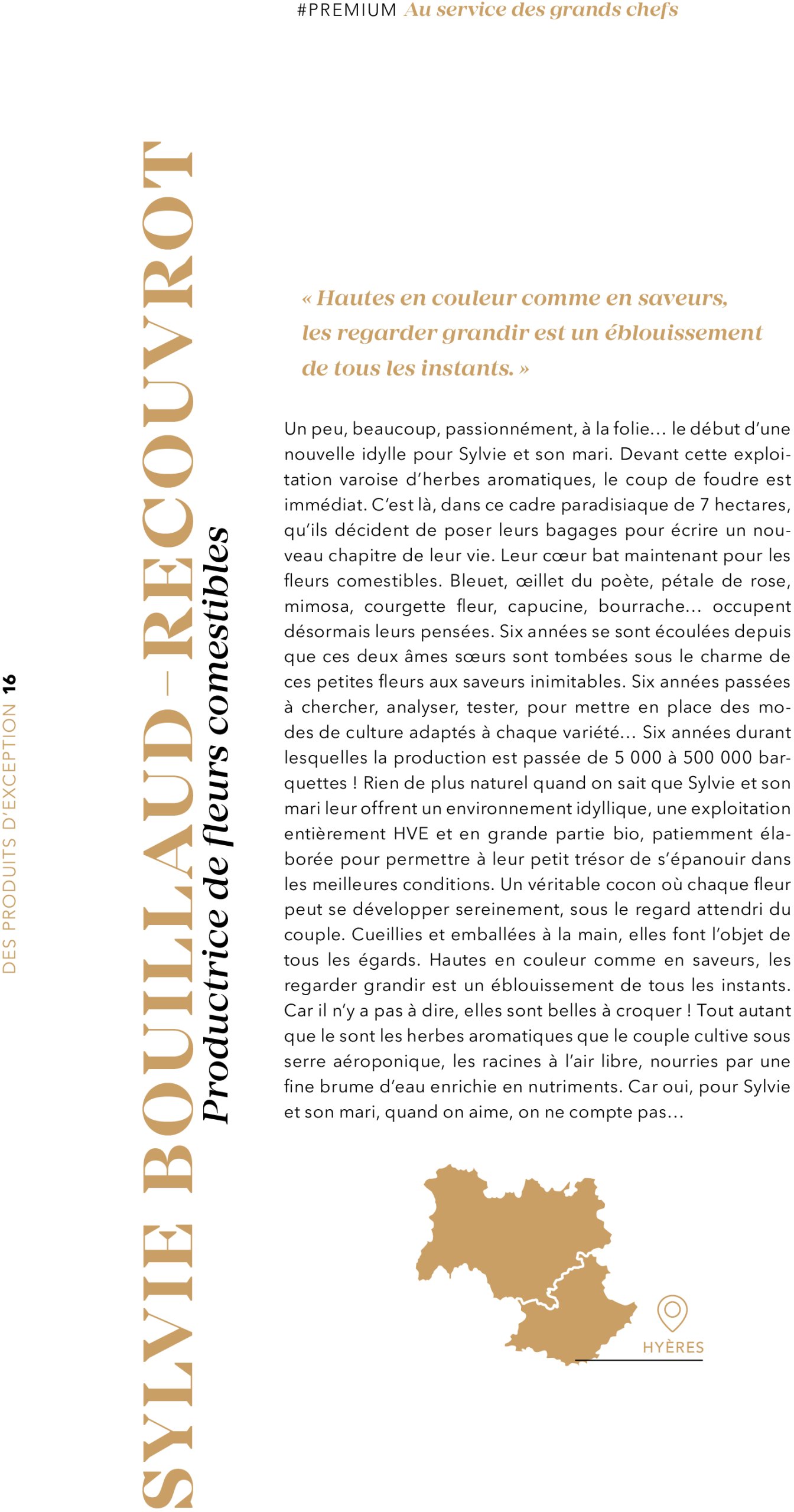 metro - Catalogue Metro - #PREMIUM édition 2025 valable du 01/07 au 31/07 - page: 16 metro - Catalogue Metro - #PREMIUM édition 2025 valable du 01/07 au 31/07 - page: 16