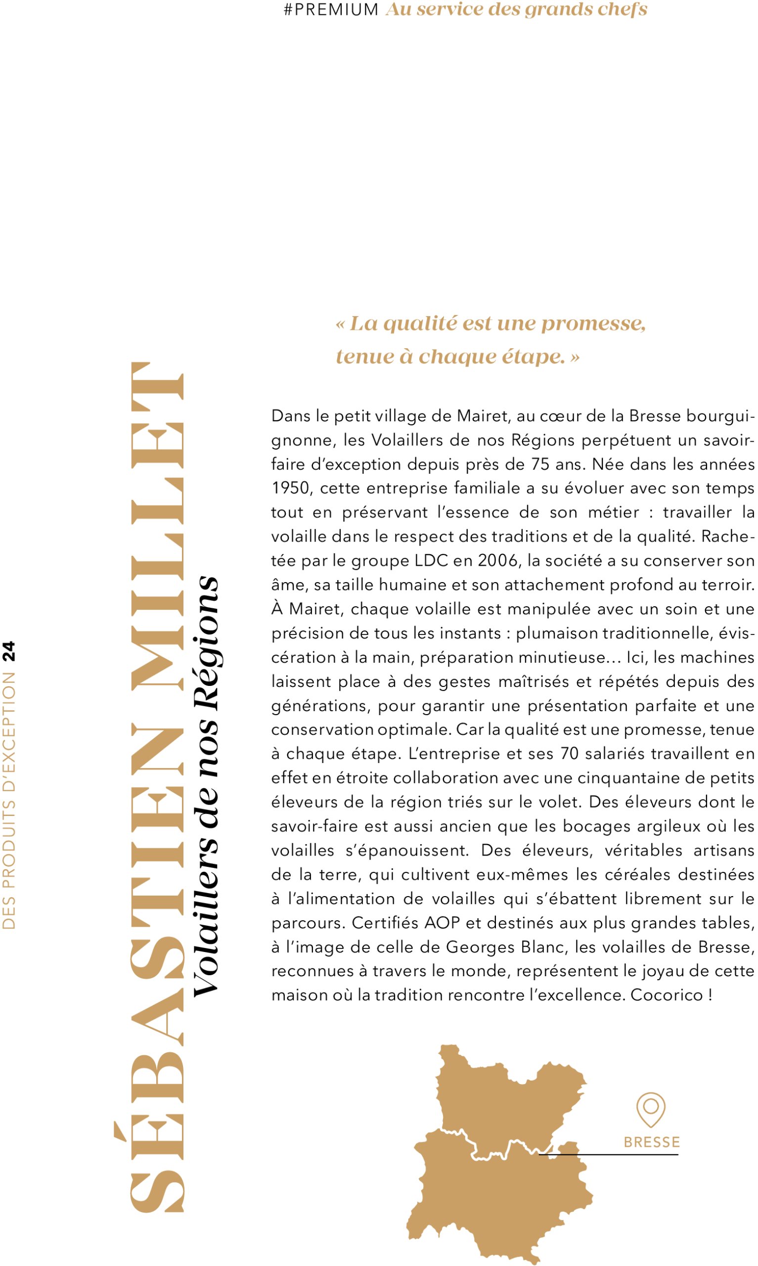 metro - Catalogue Metro - #PREMIUM édition 2025 valable du 01/07 au 31/07 - page: 24 metro - Catalogue Metro - #PREMIUM édition 2025 valable du 01/07 au 31/07 - page: 24